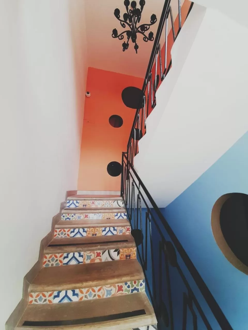 Property building in Rossa Palma