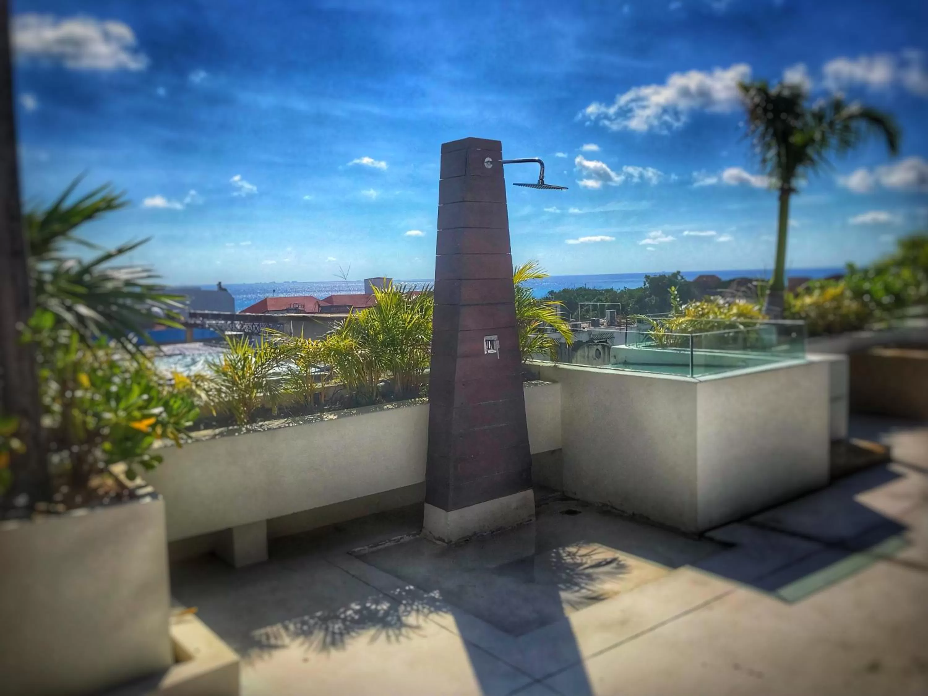 Patio in Hotel The Palm