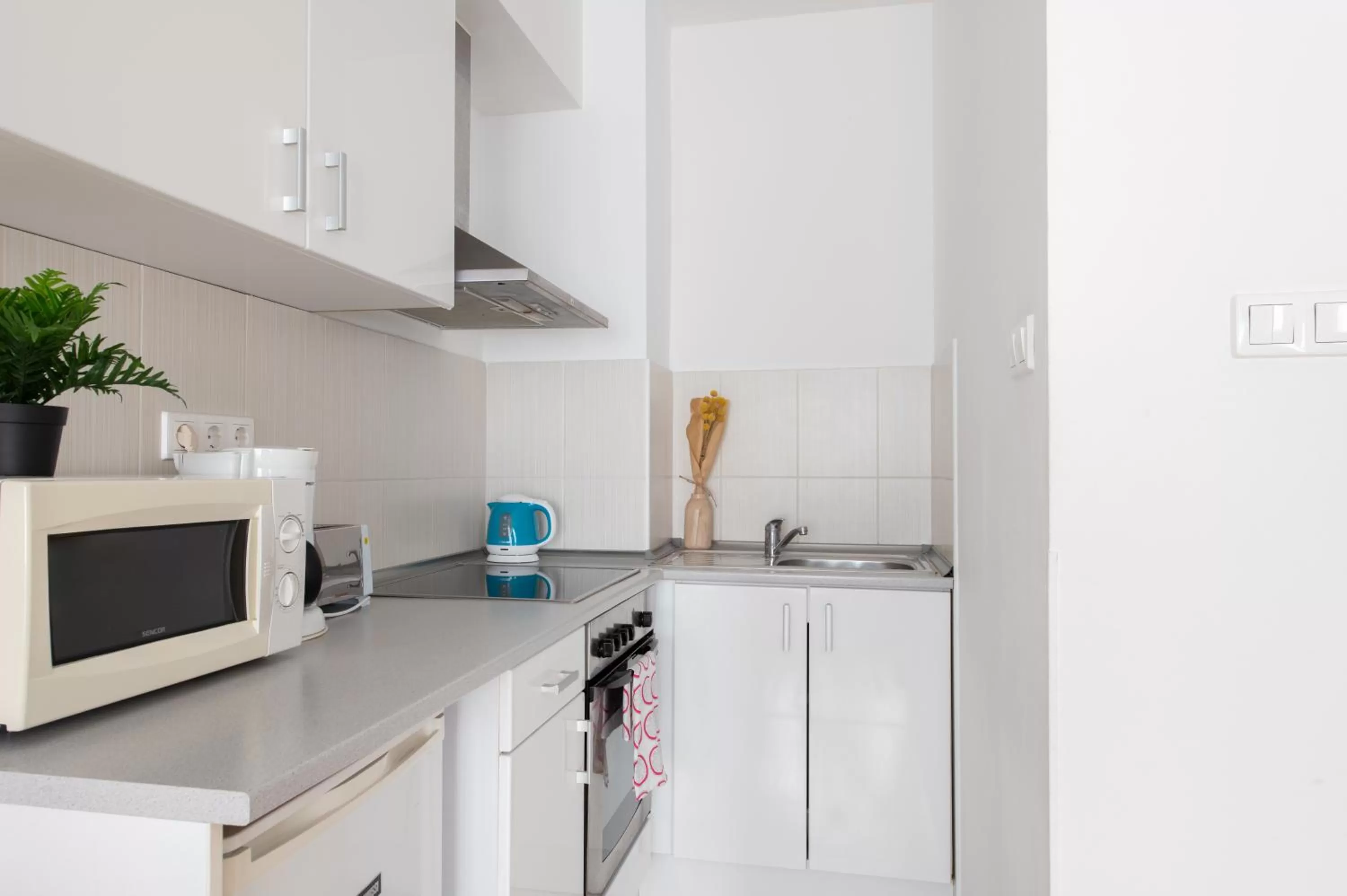 Kitchen or kitchenette in Prince Apartments