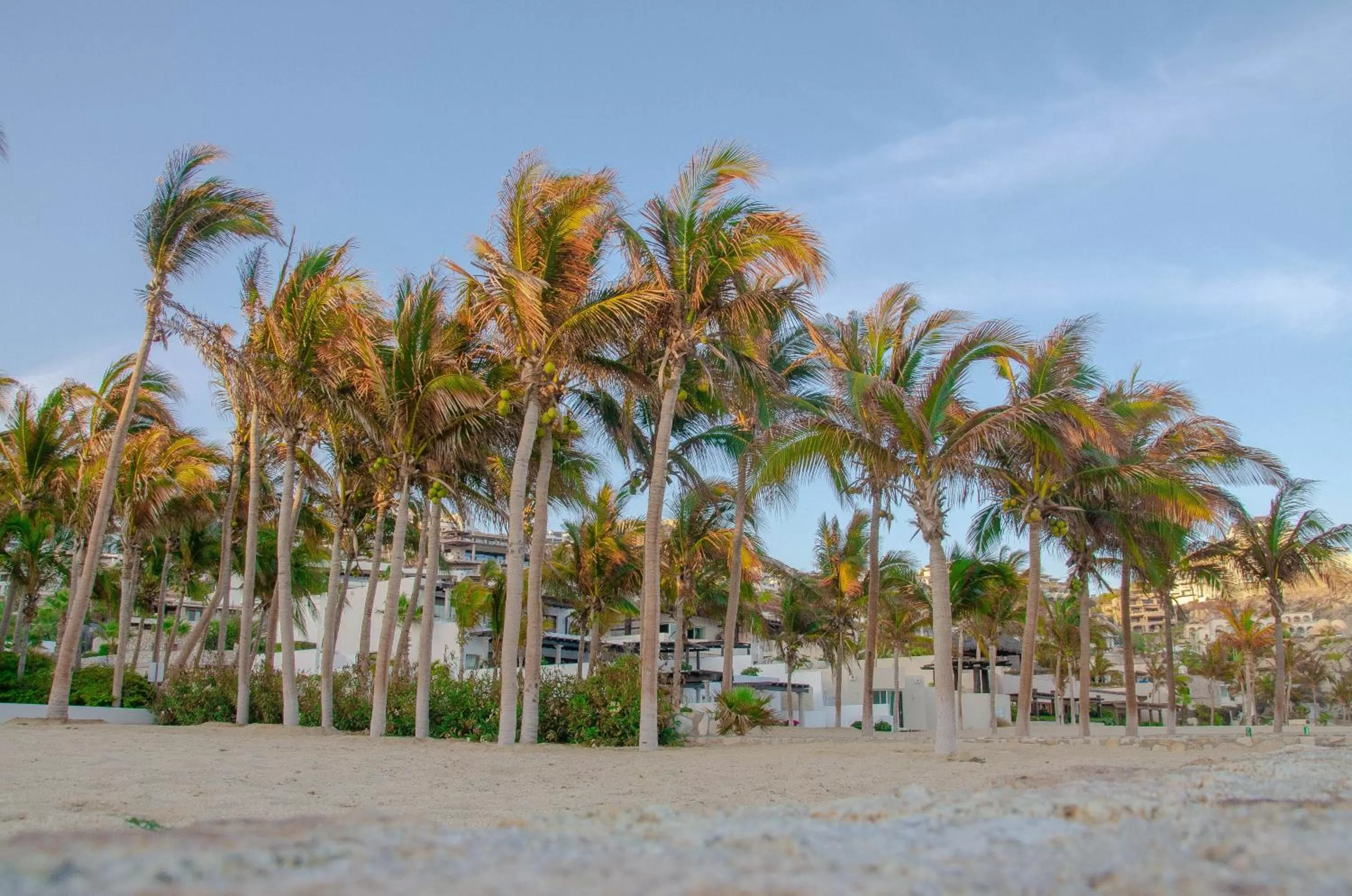 Beach in Pedregal Suites - Marina and Downtown