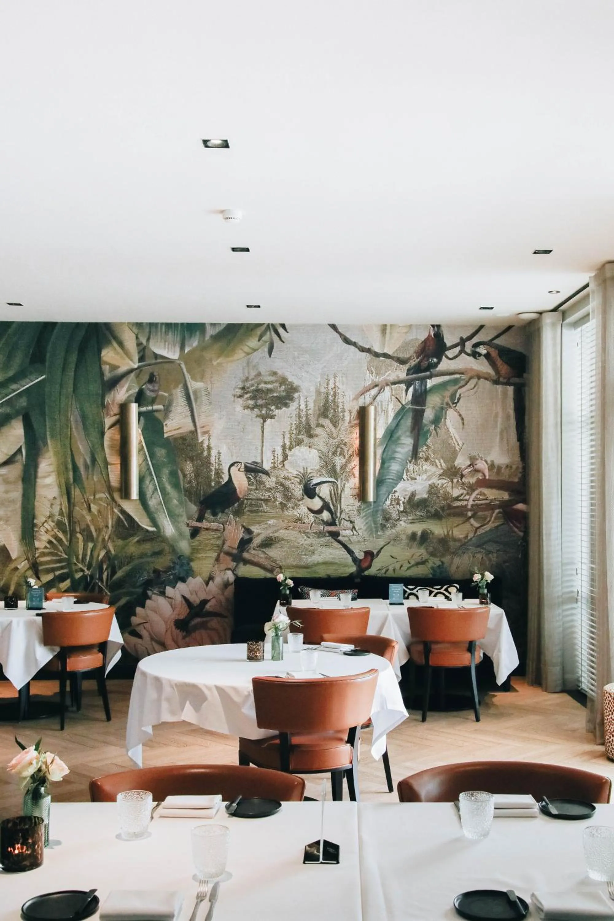 Restaurant/places to eat in Hotel FRANQ