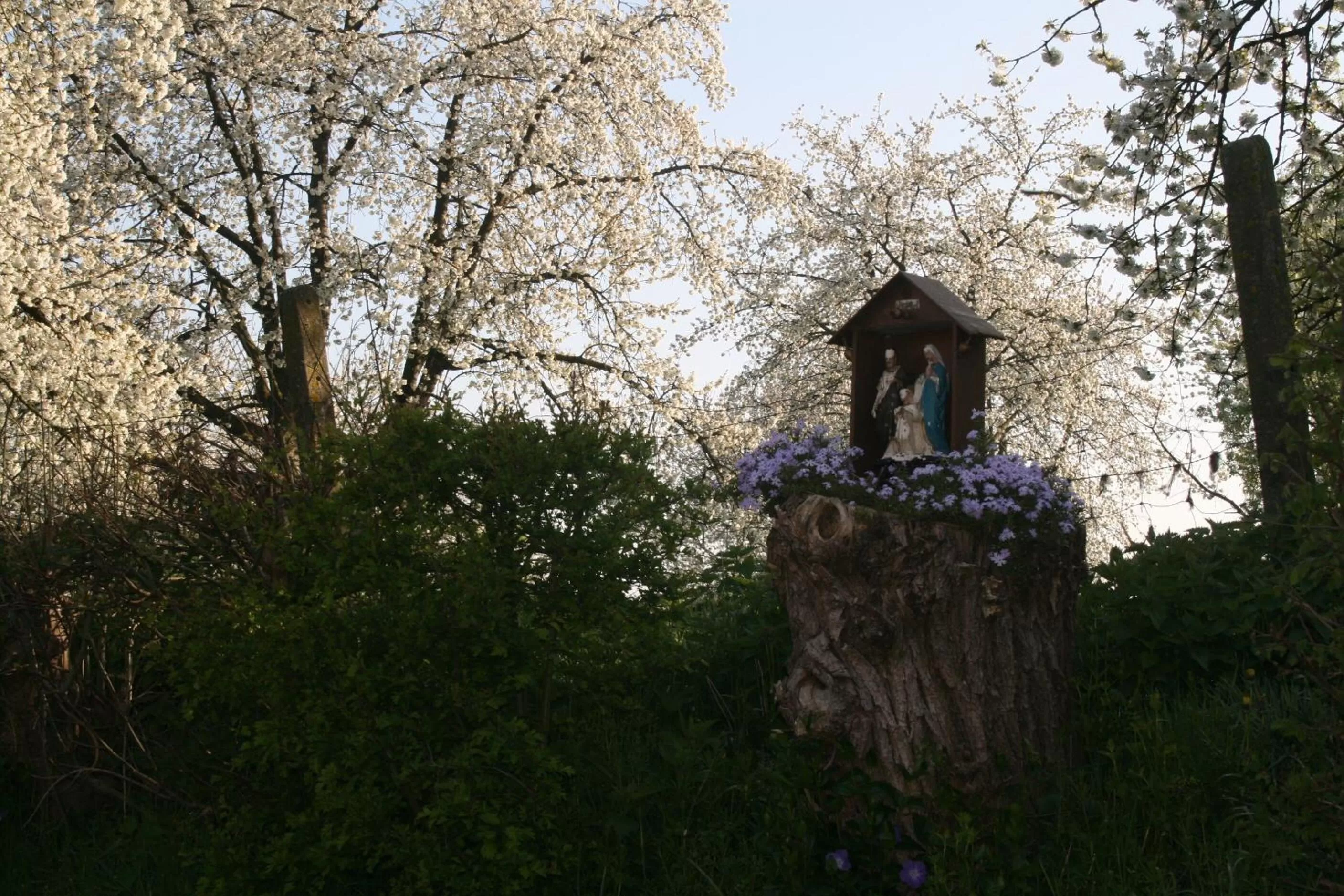 Nearby landmark in twee broeders