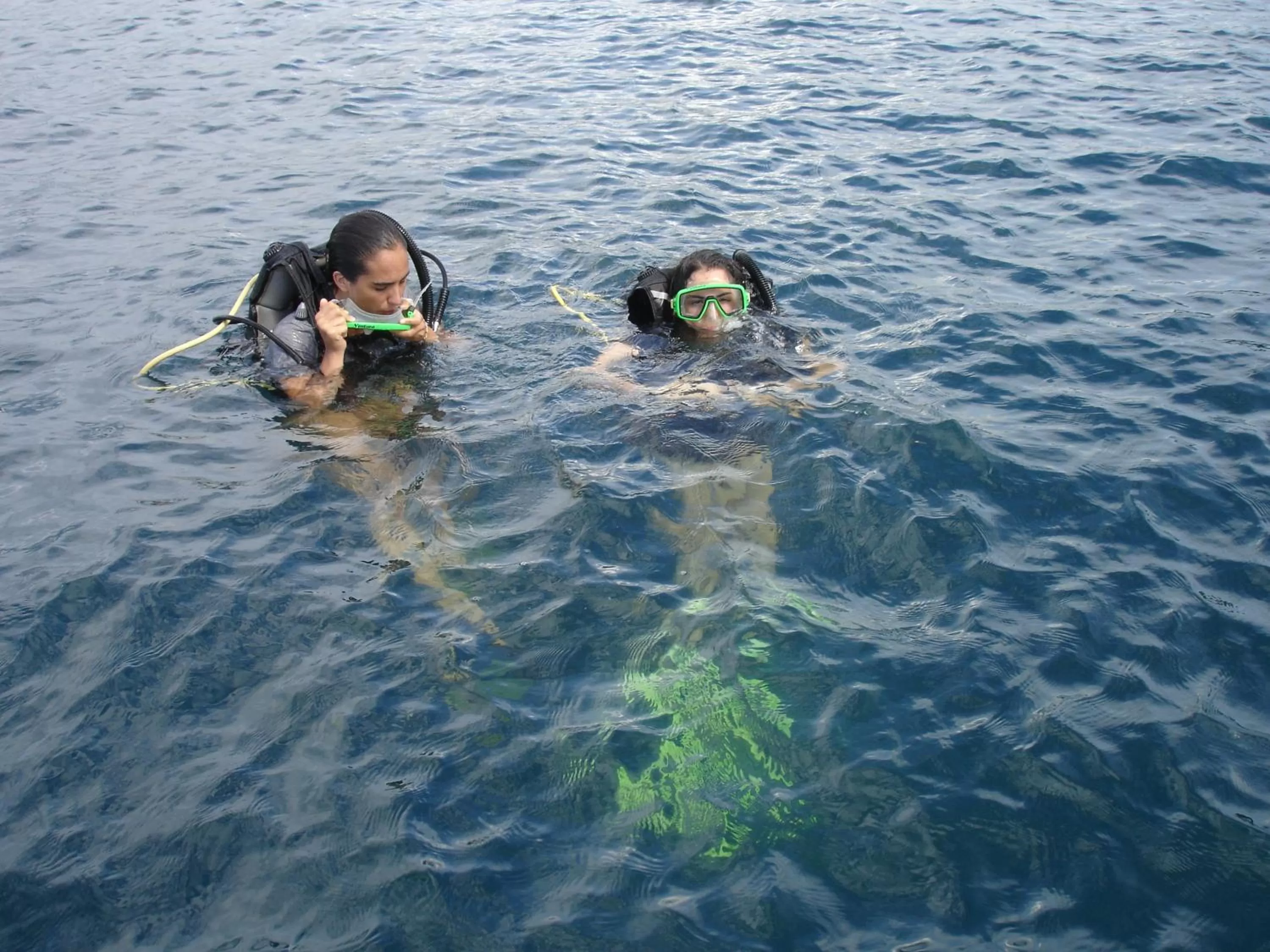Property building, Snorkeling/Diving in Posada Turística Rocas De Cabo Marzo