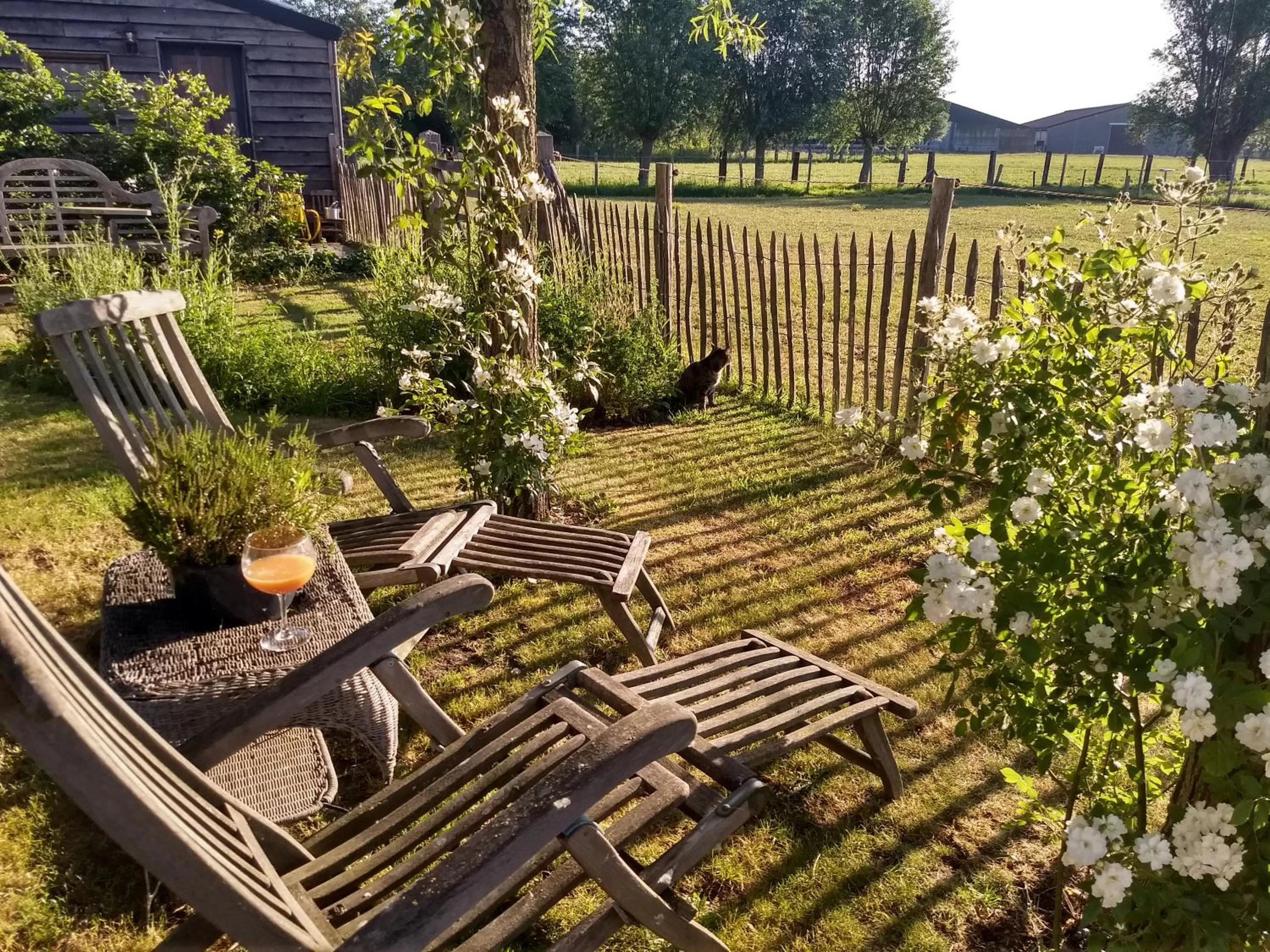 Garden in B&B De Vossenbarm
