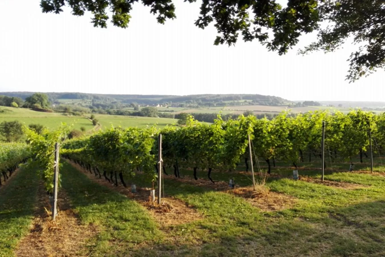 Natural landscape in Hotel Restaurant The Kings Head Inn