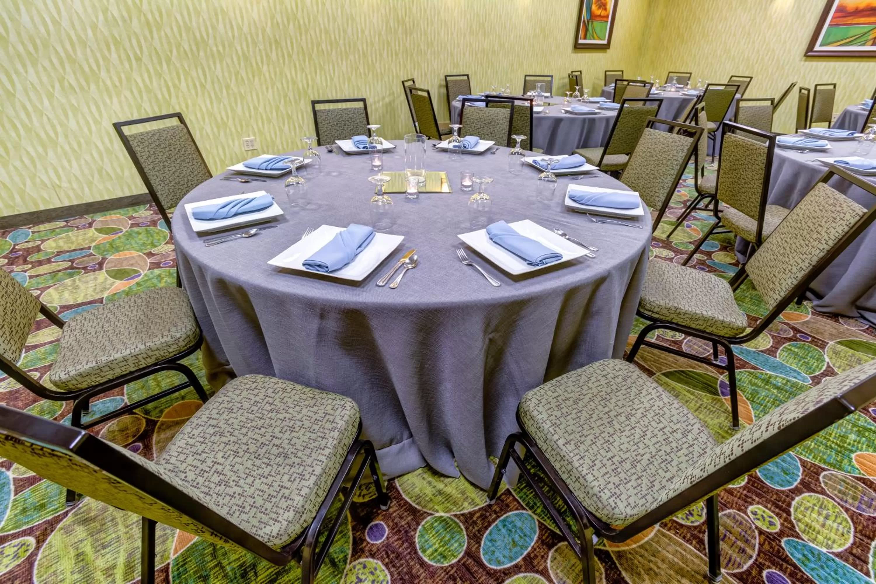 Banquet/Function facilities in Holiday Inn Indianapolis North-Carmel by IHG