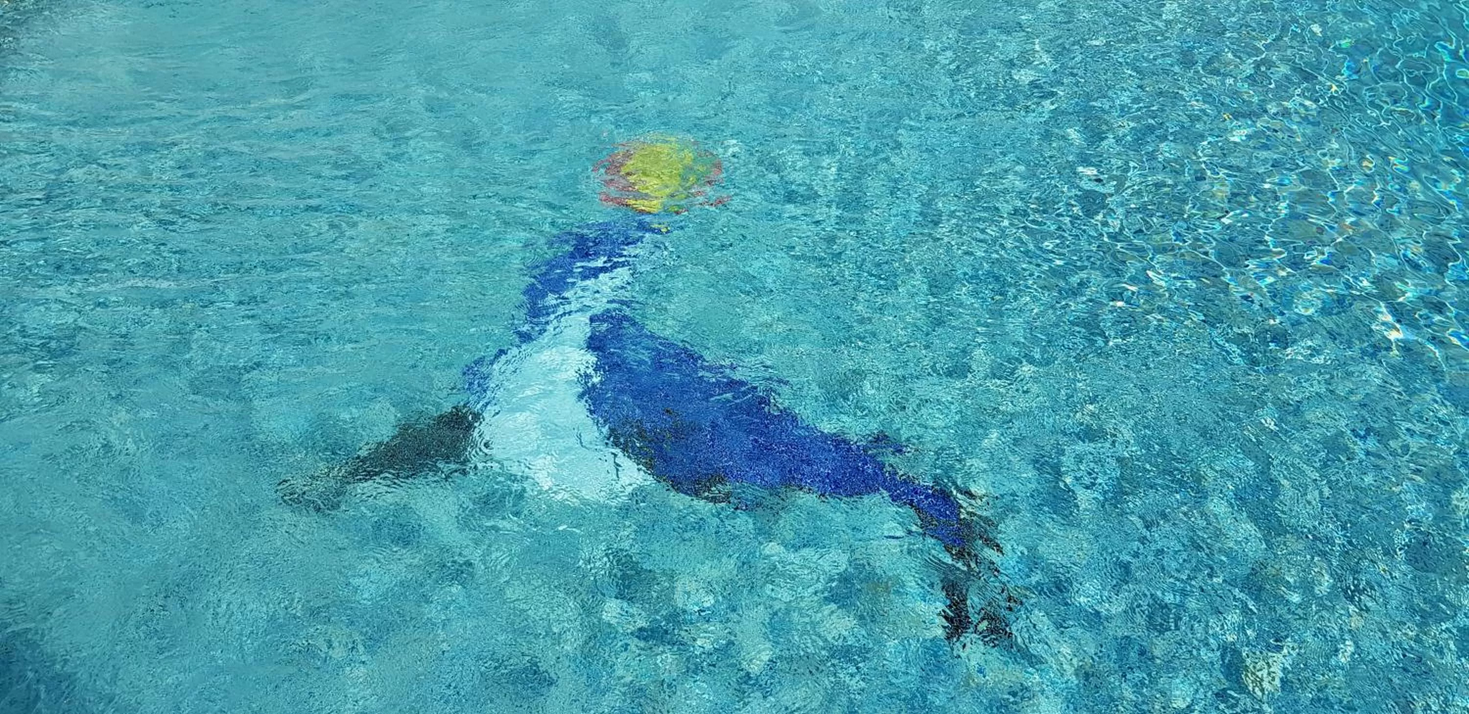 Swimming pool in Castel Vecchio