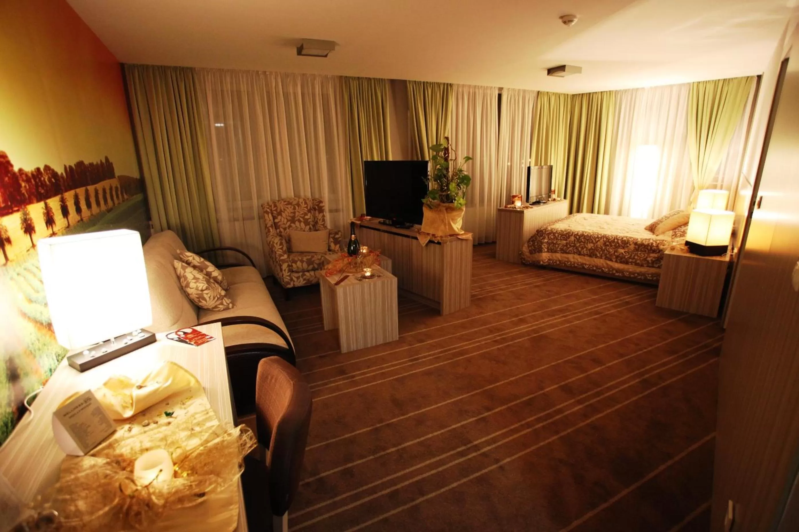 Photo of the whole room in Hollywood Hotel