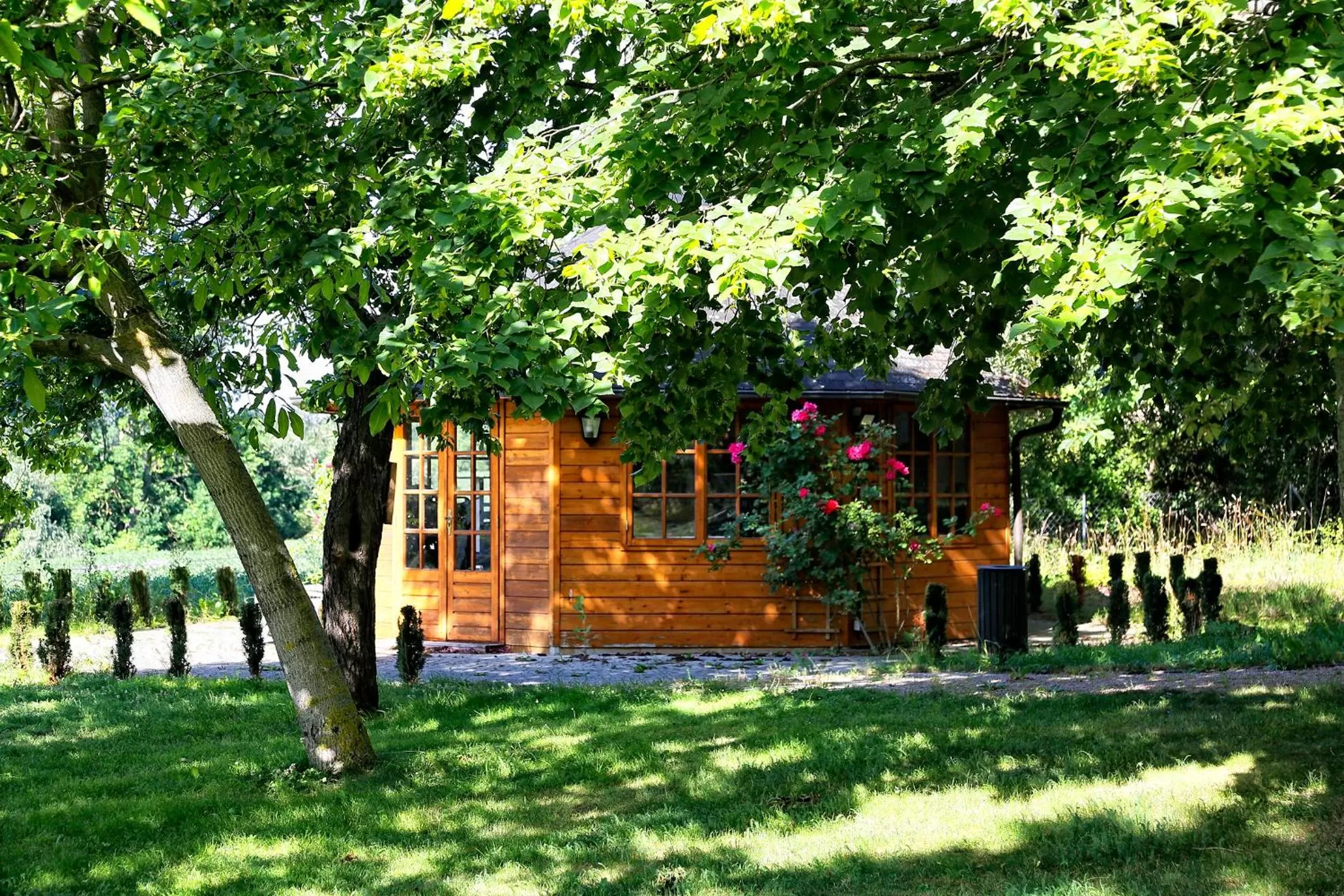 Garden in Konsumhotel Dorotheenhof Weimar
