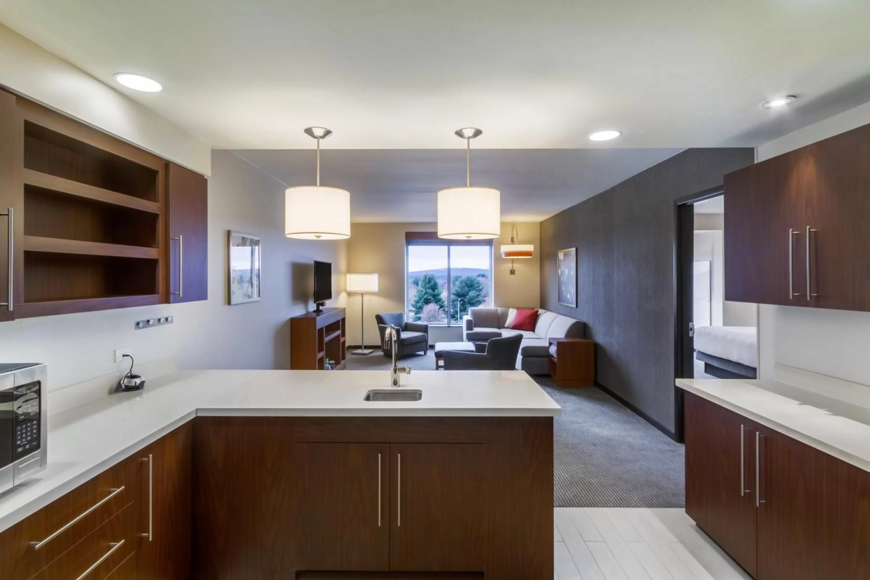 One-Bedroom King Suite with Sofa Bed in Hyatt Place Blacksburg/University