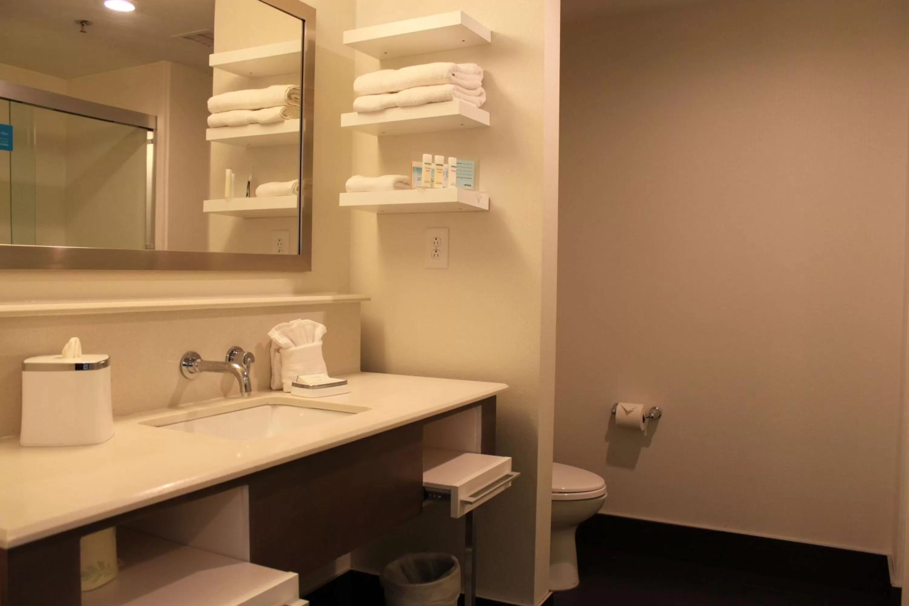 Bathroom in Hampton Inn Bainbridge, GA