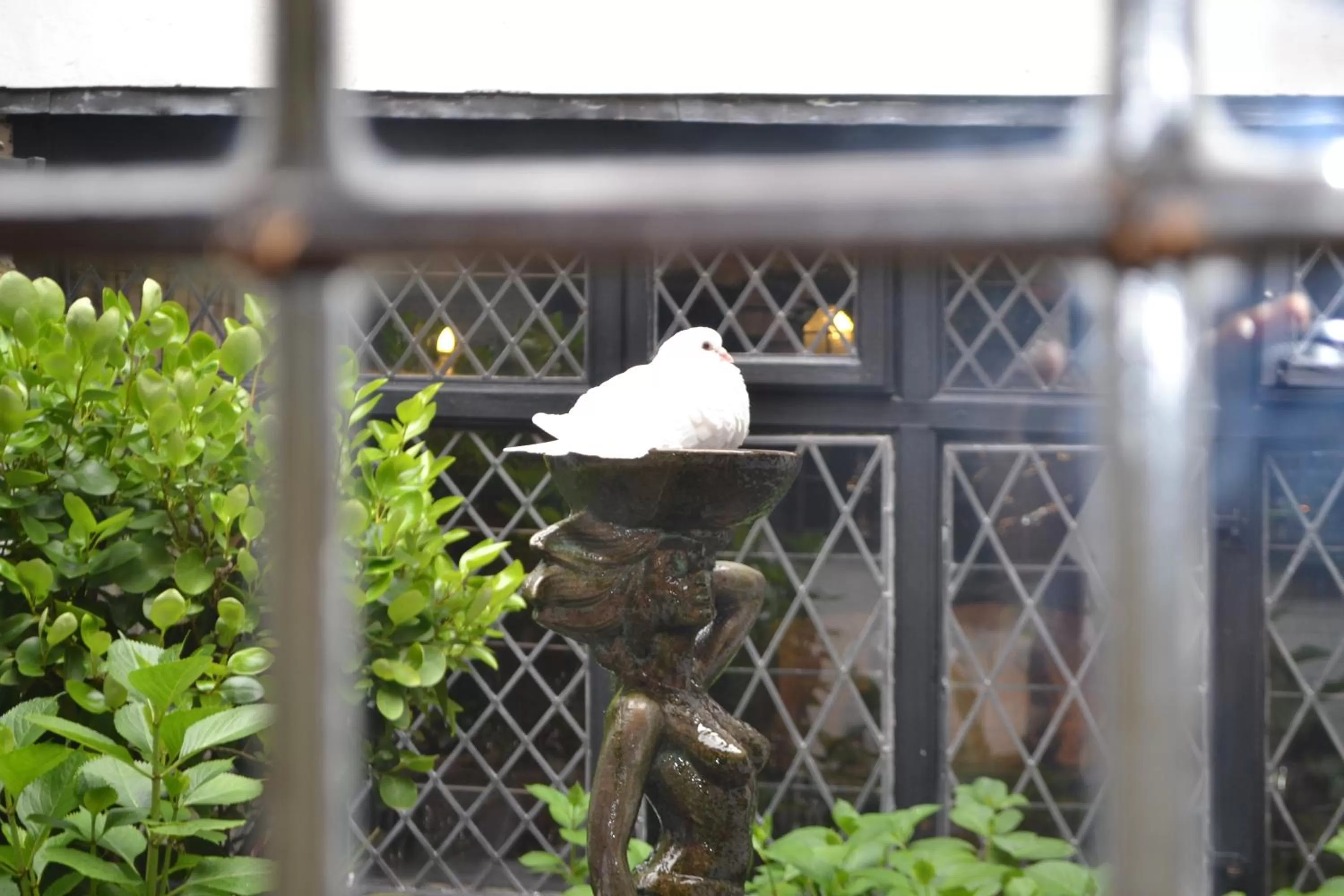 Other in Mermaid Inn