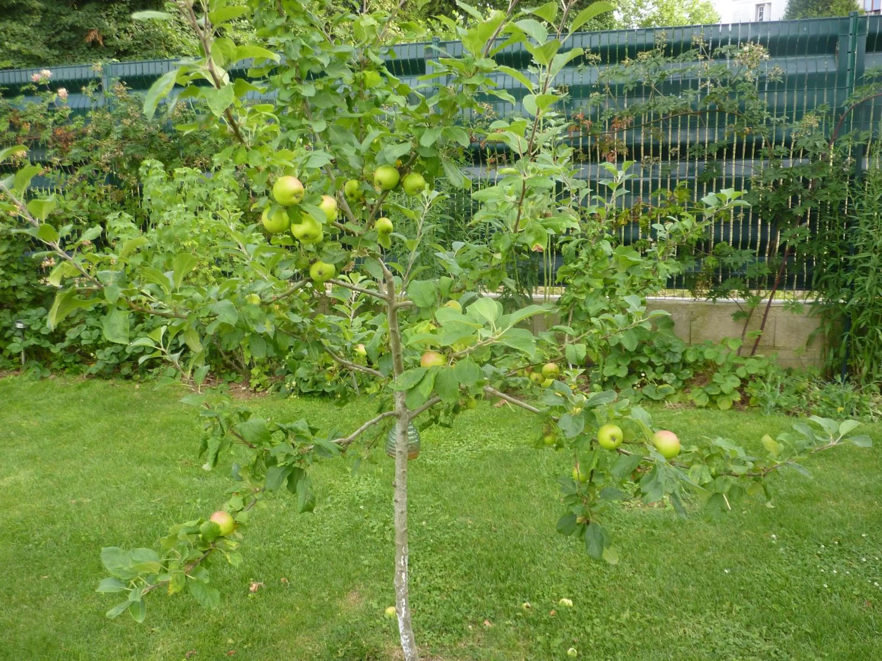 Garden in Les Chambres D'oriane