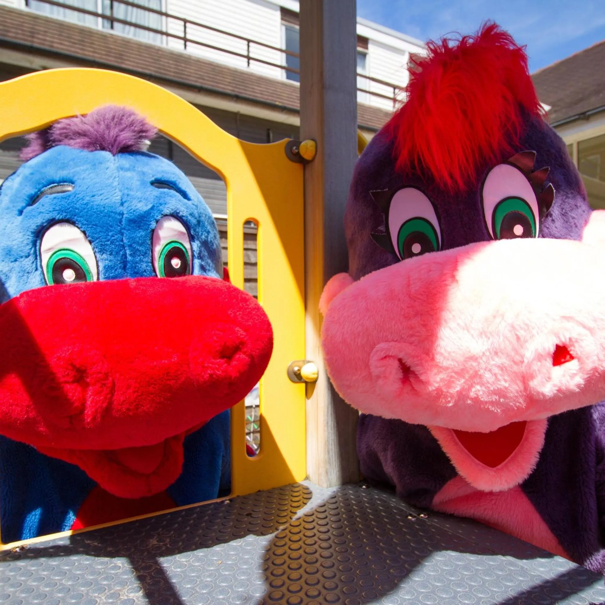 Kids's club in Dalmeny Hotel