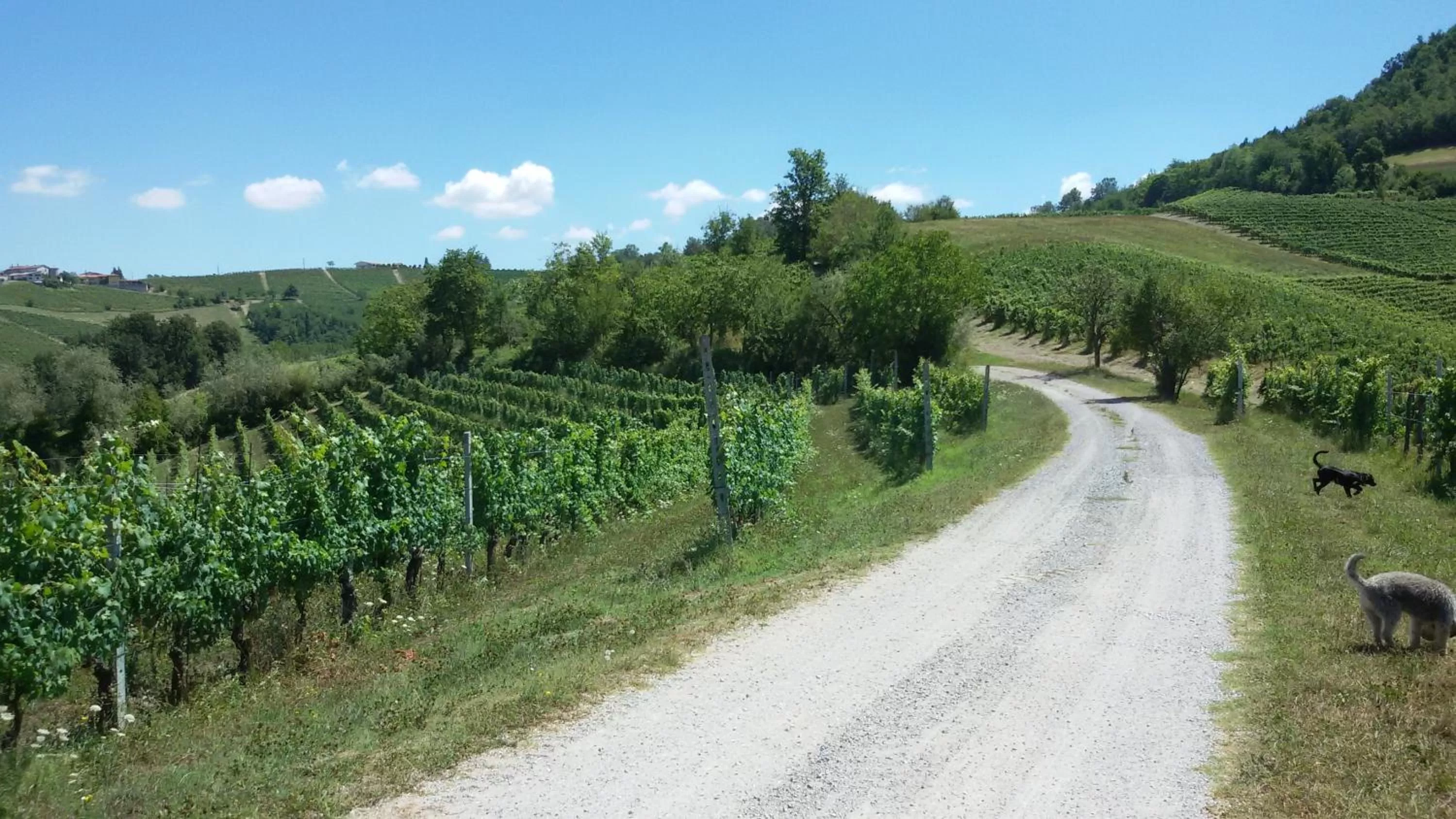 Area and facilities in Cascina Torello