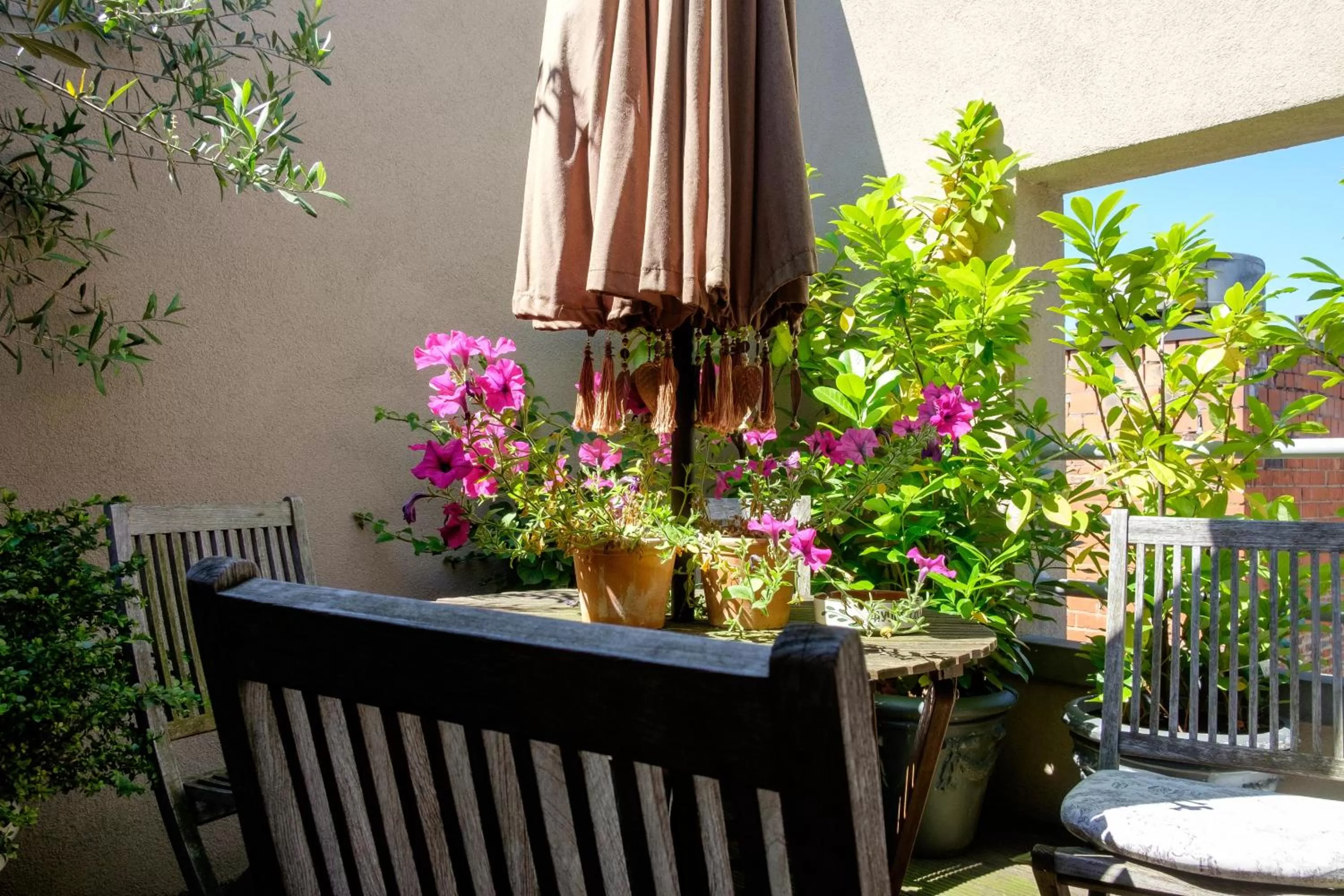 Patio in Hotel Diamonds and Pearls