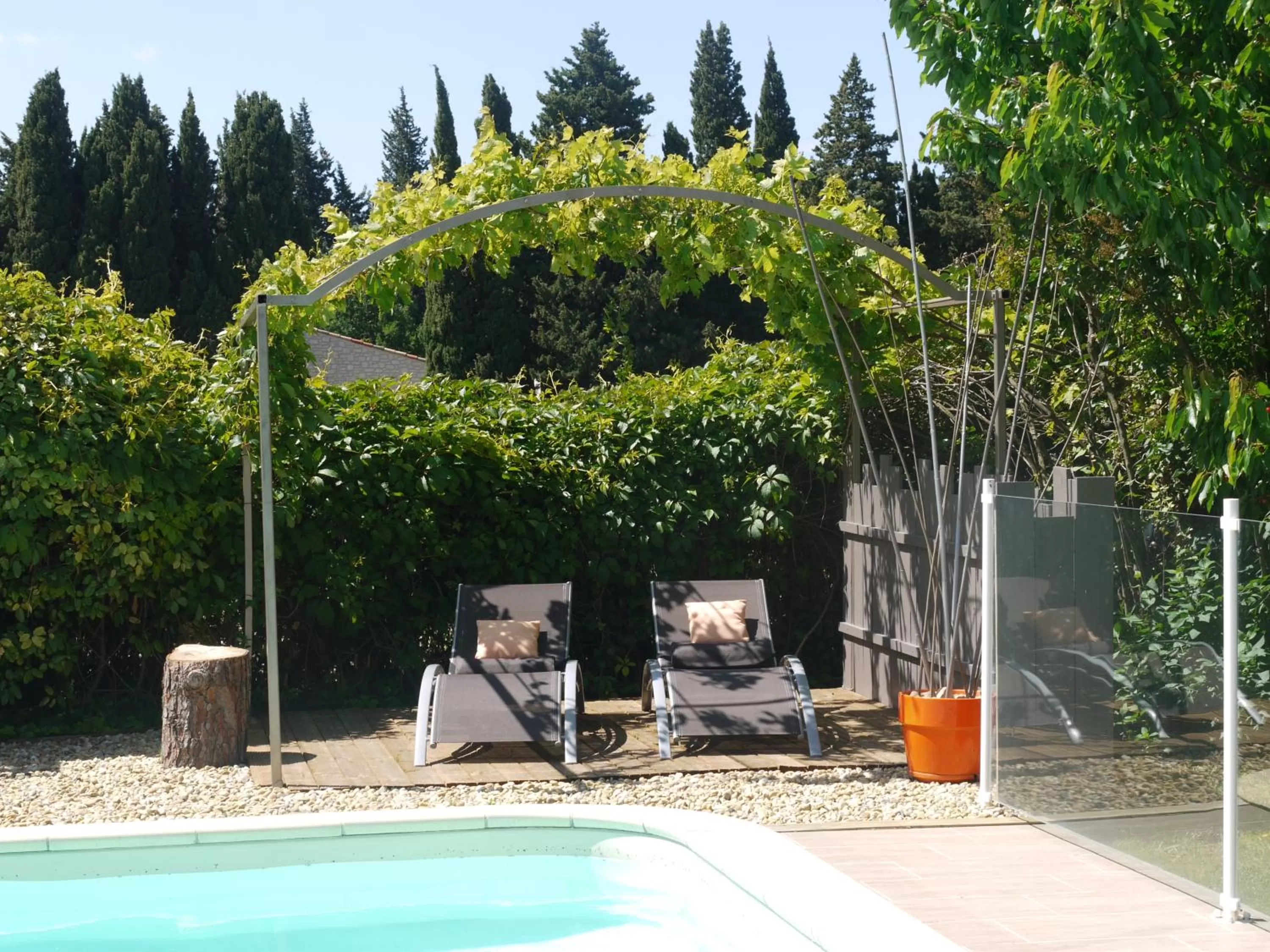 Pool view, Swimming Pool in Mas des Marguerites