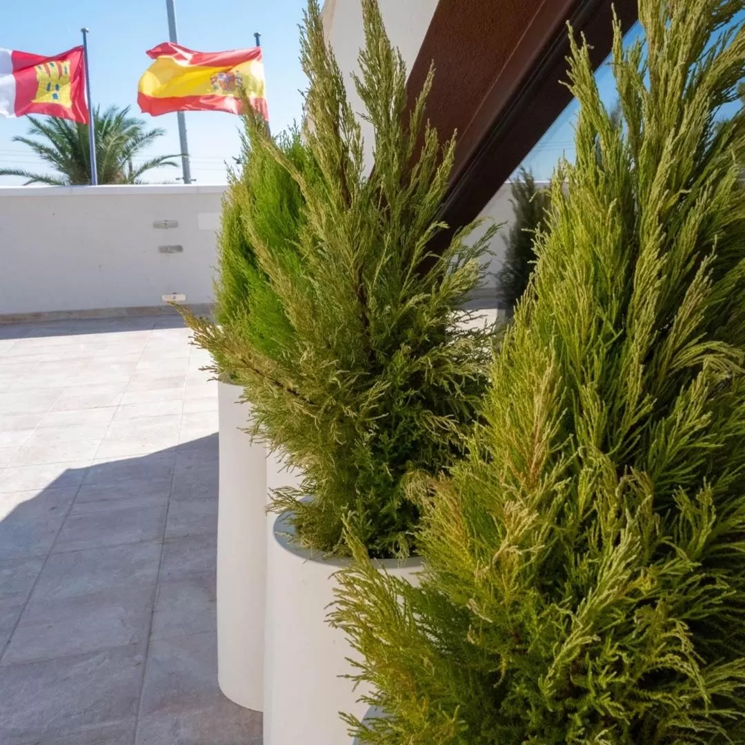 Solarium in HOTEL Boutique ÁNGEL