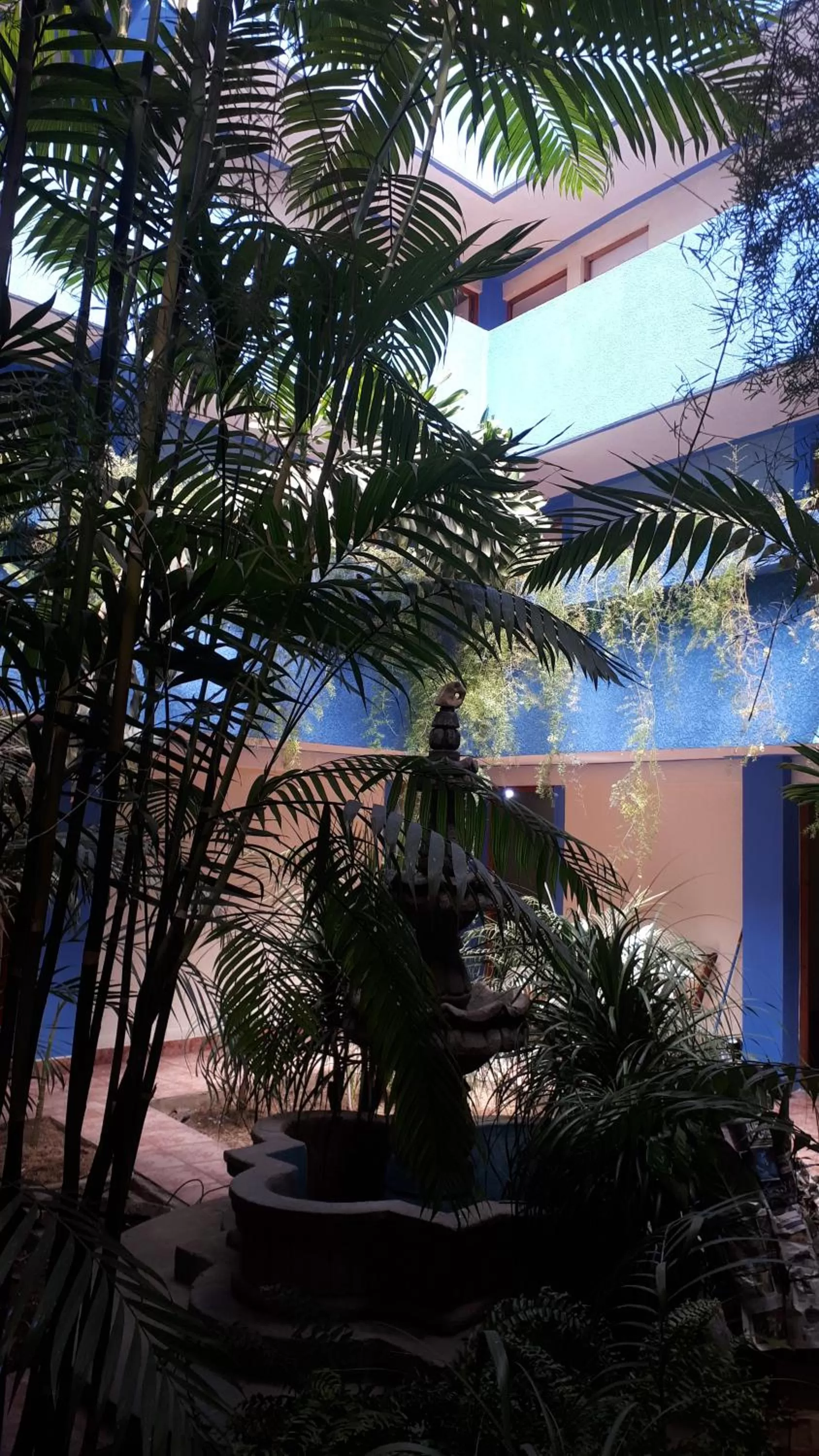 Garden in hotel kasa kamelot 2