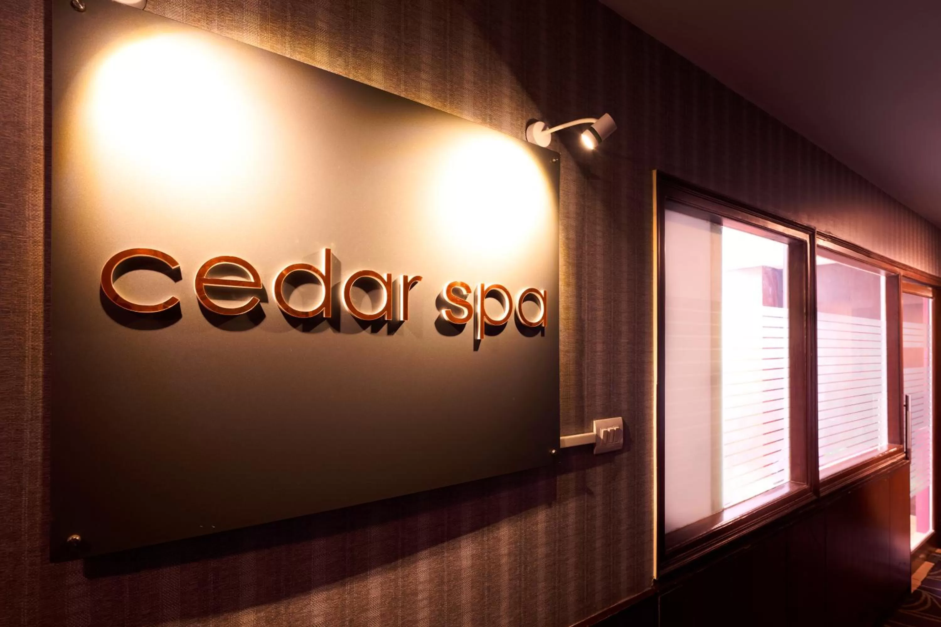 Spa and wellness centre/facilities in Renest River Country Resort Manali