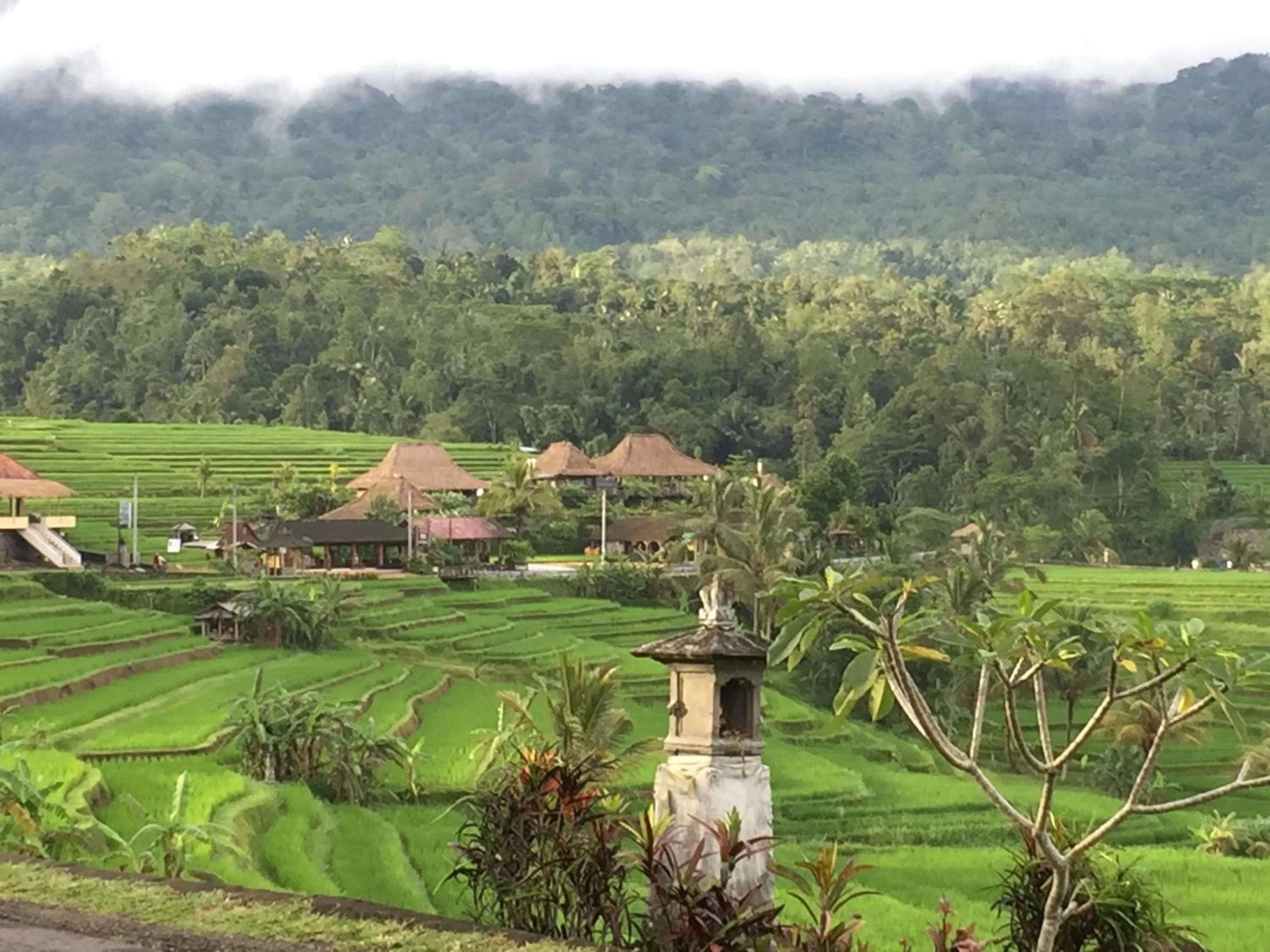 The Hidden Bali Inn