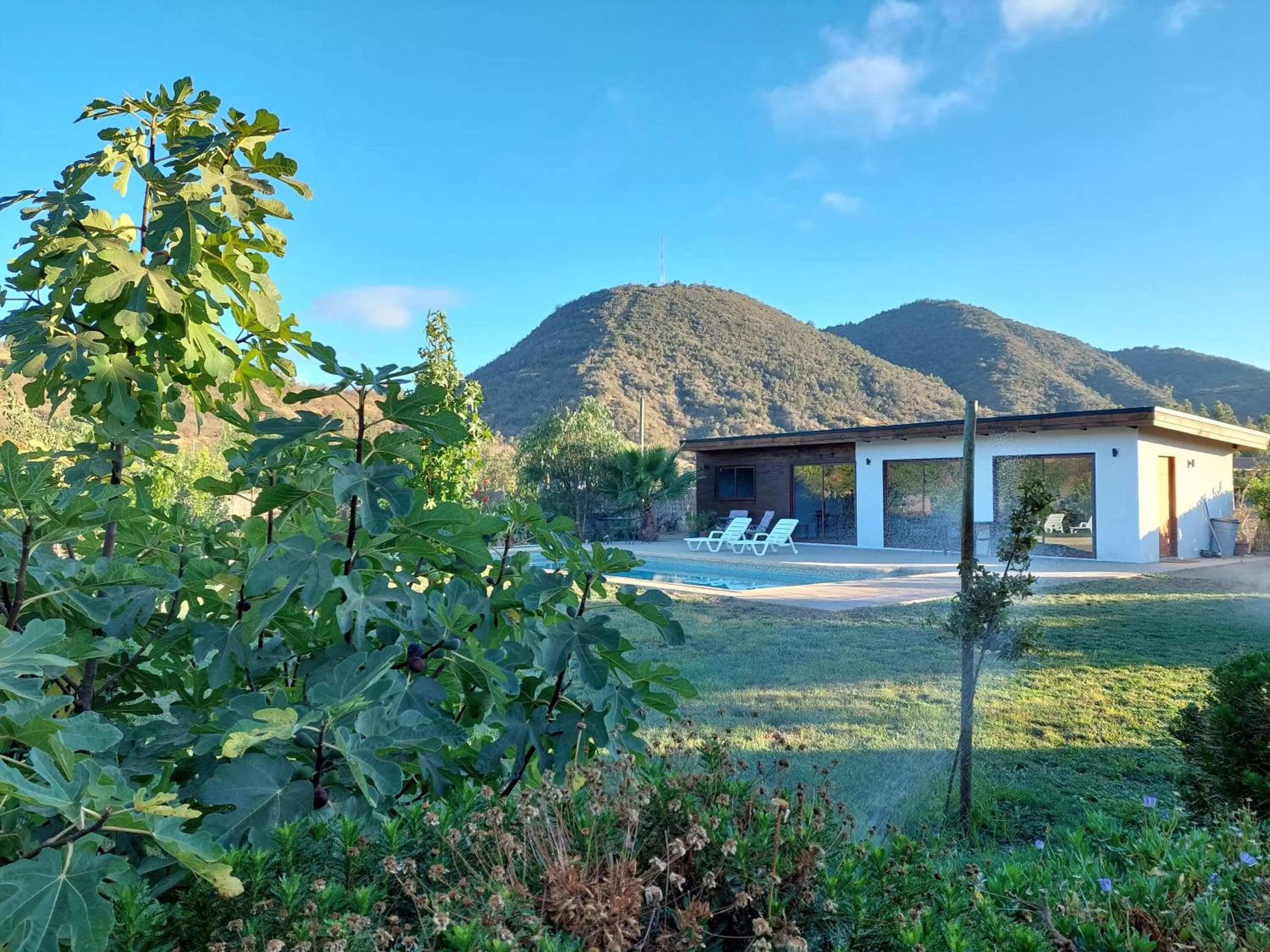 Property building in Callihue Lodge