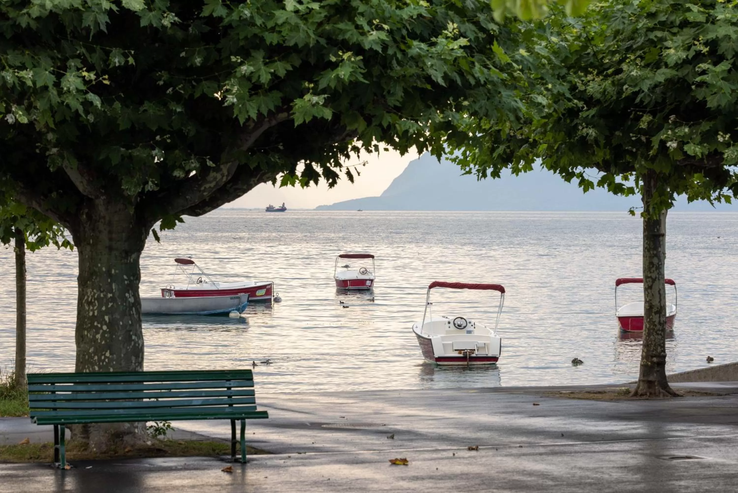 View (from property/room) in Château d'Ouchy