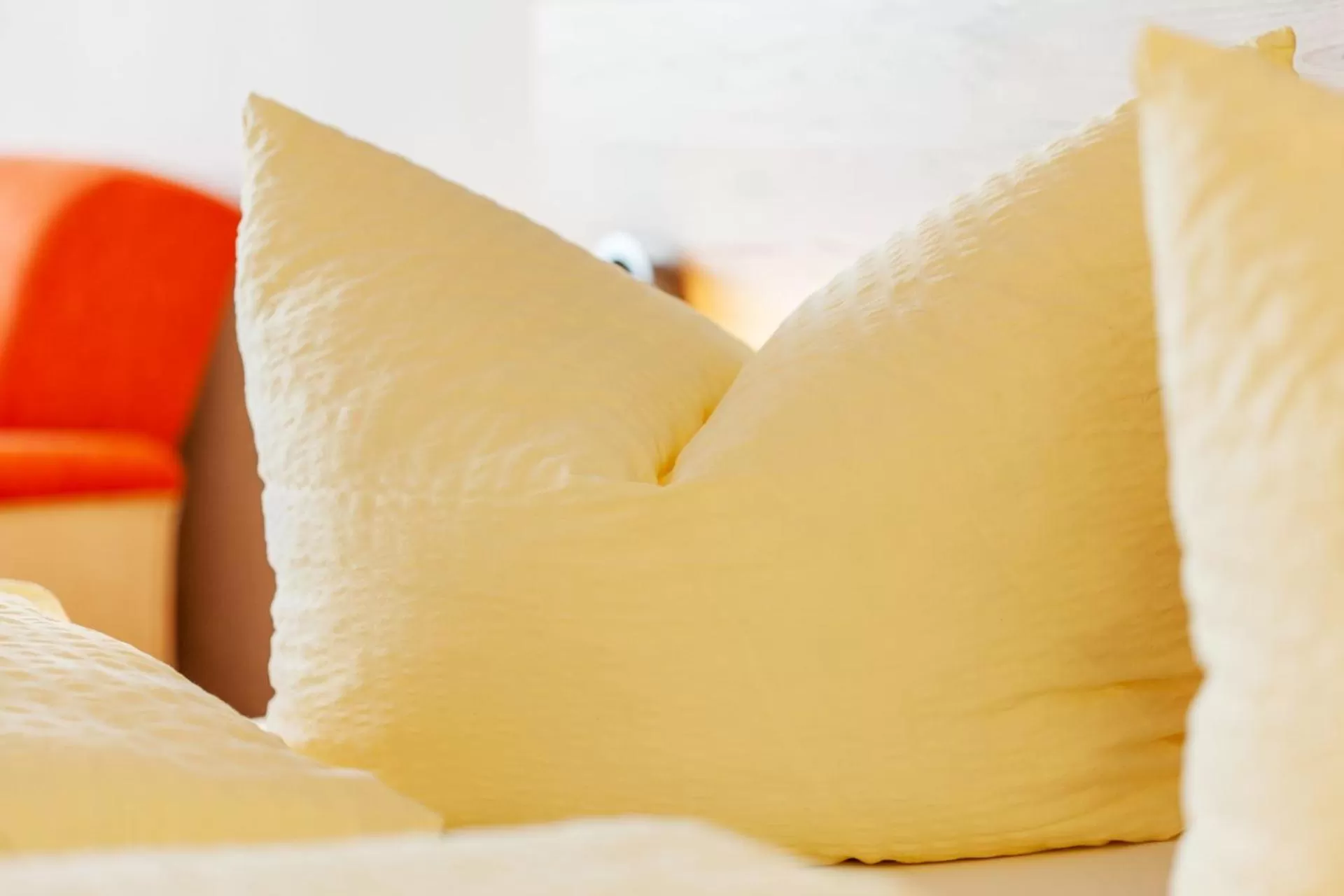 Photo of the whole room in Appartementhaus Dachsteinblick