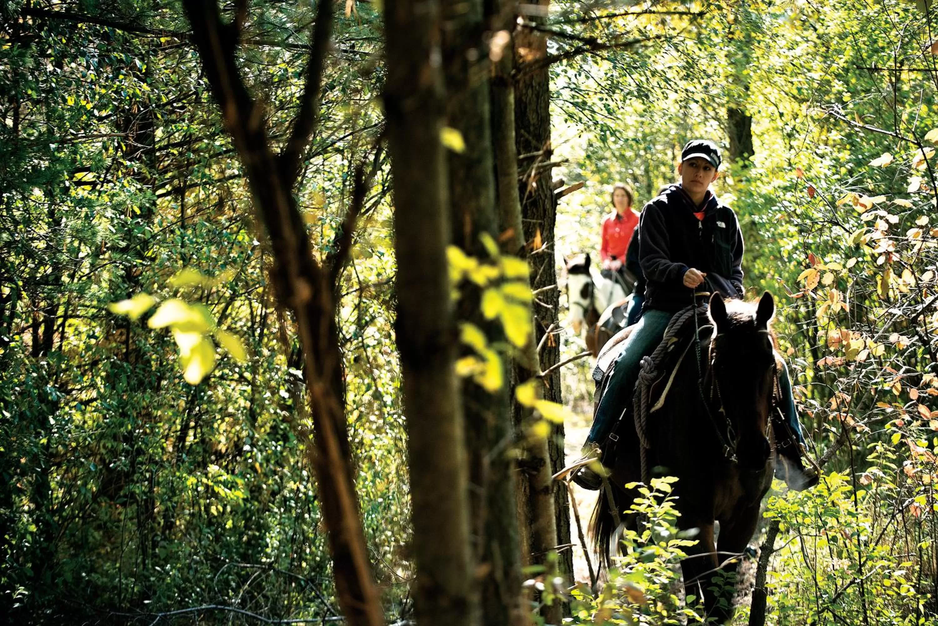 Horse-riding in Timber Ridge Lodge and Waterpark