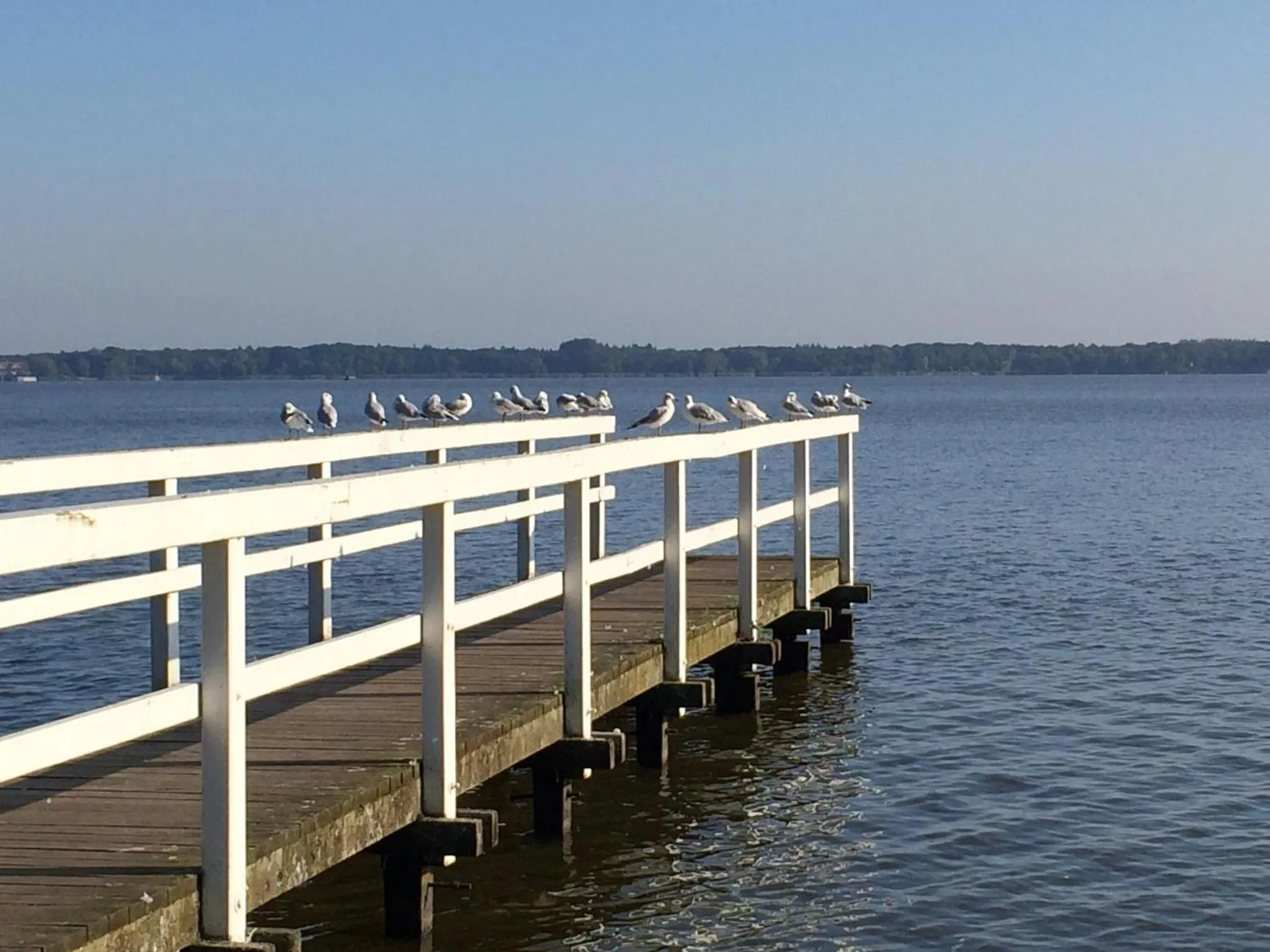 Area and facilities in HansenS Haus am Meer