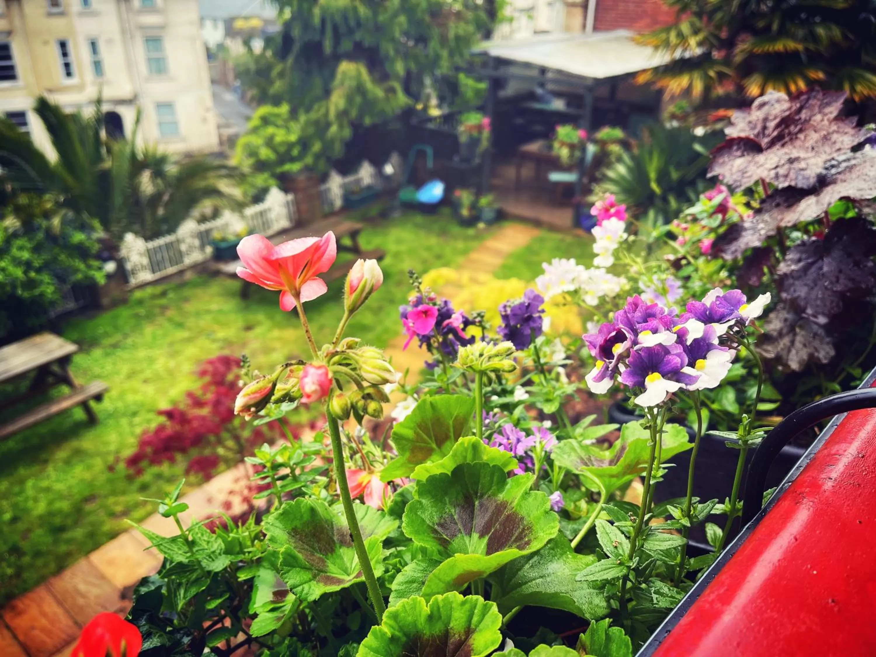 Garden in The Robin Hill