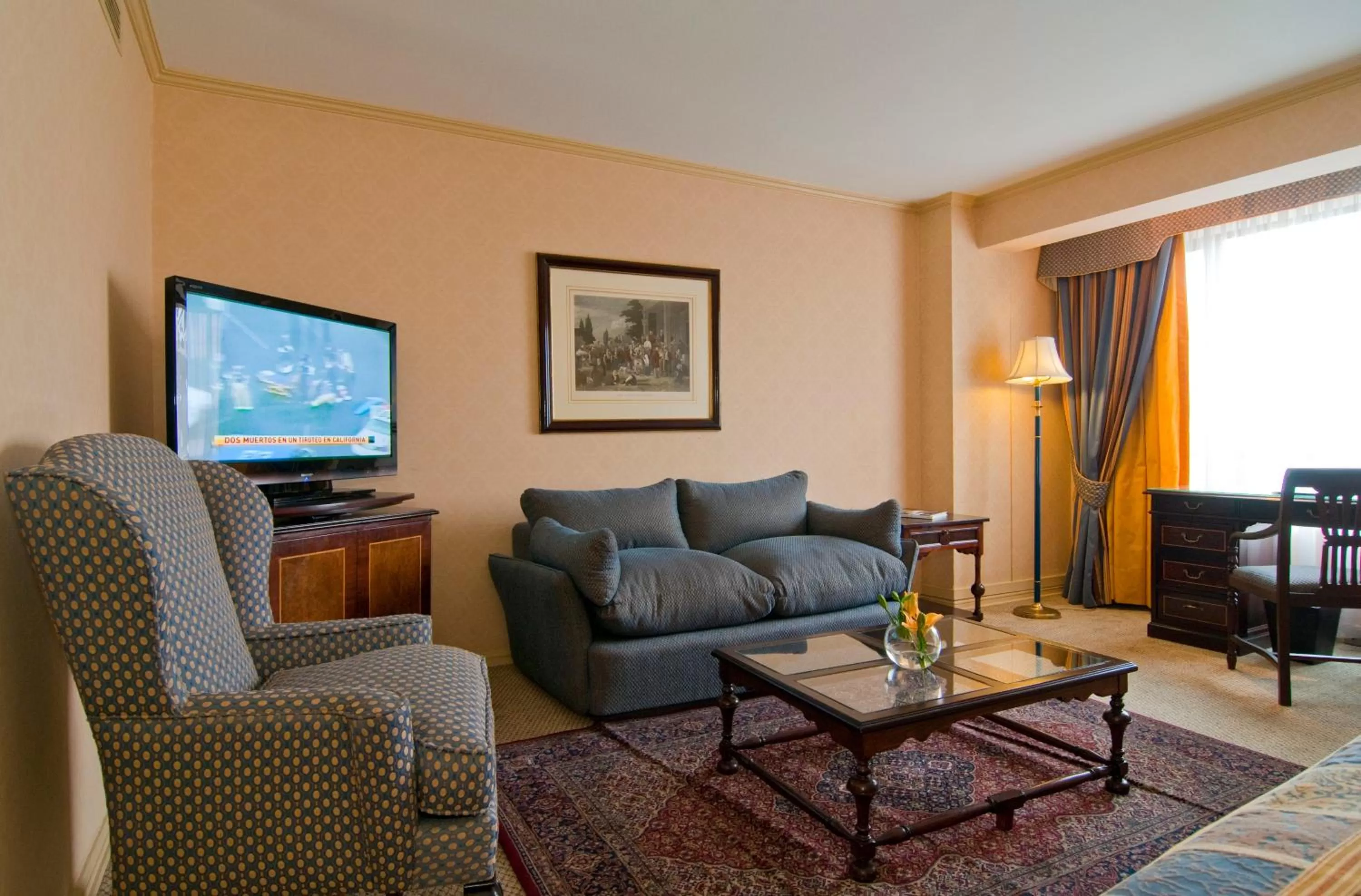 TV and multimedia in Park Plaza Santiago