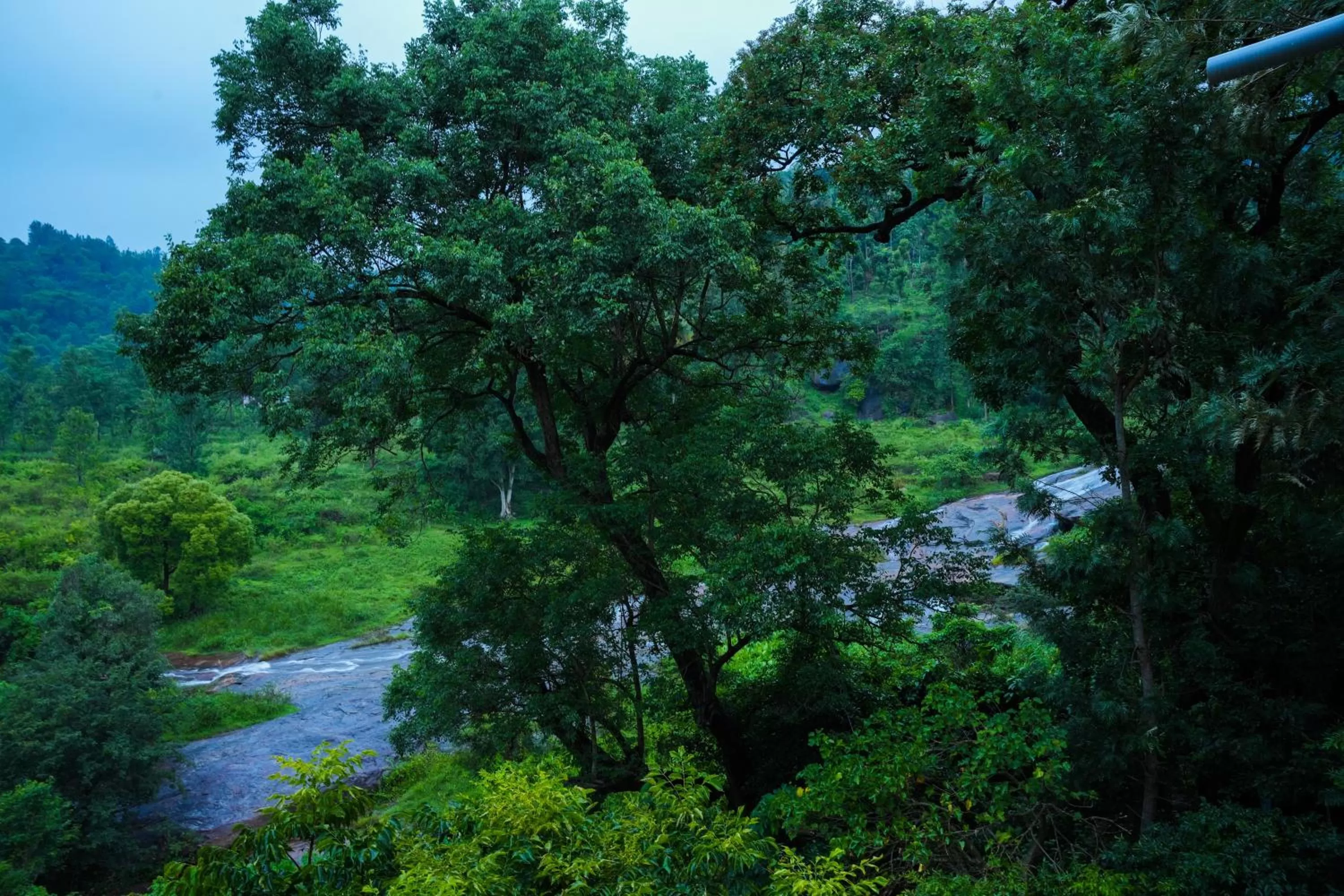 View (from property/room) in Misty Range Resorts