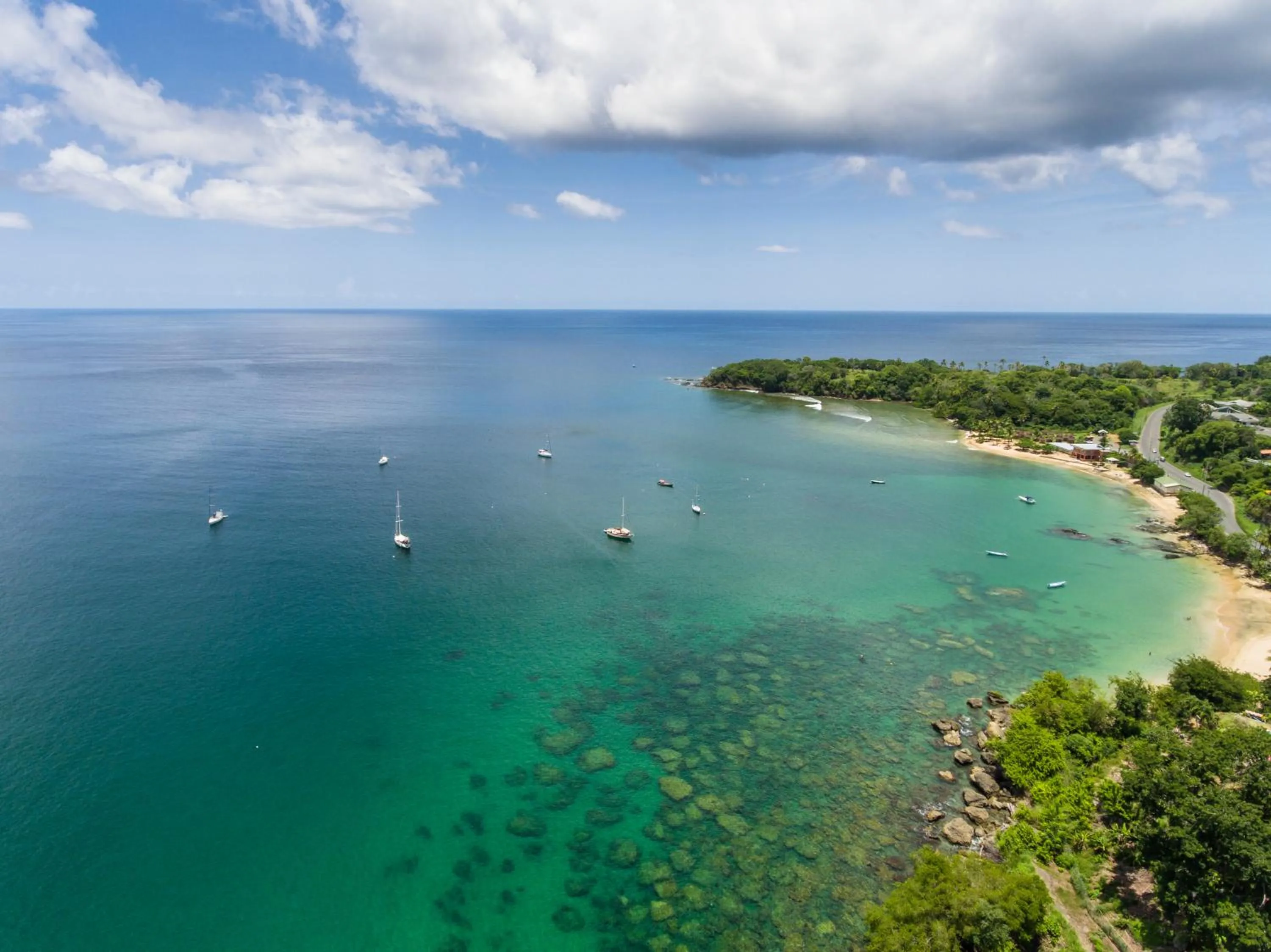 Natural landscape in Mount Irvine Bay Resort