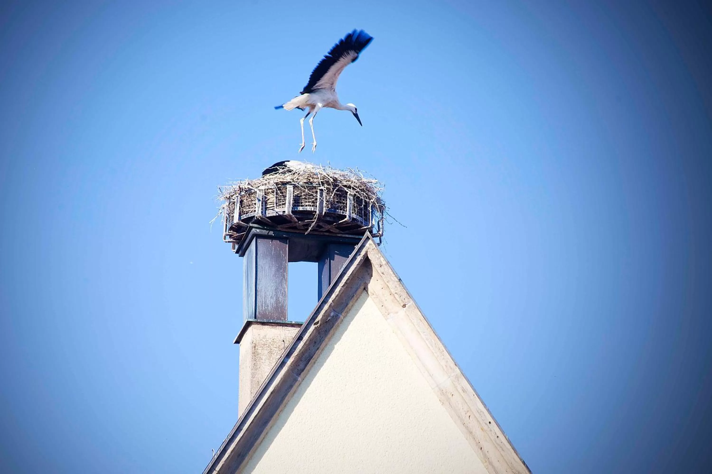 Nearby landmark in Hotel Post