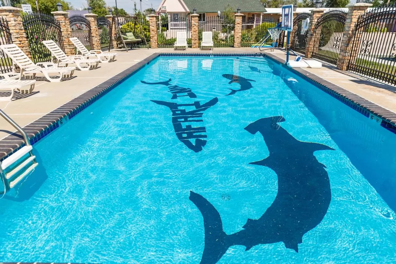 Swimming pool in Safari Inn