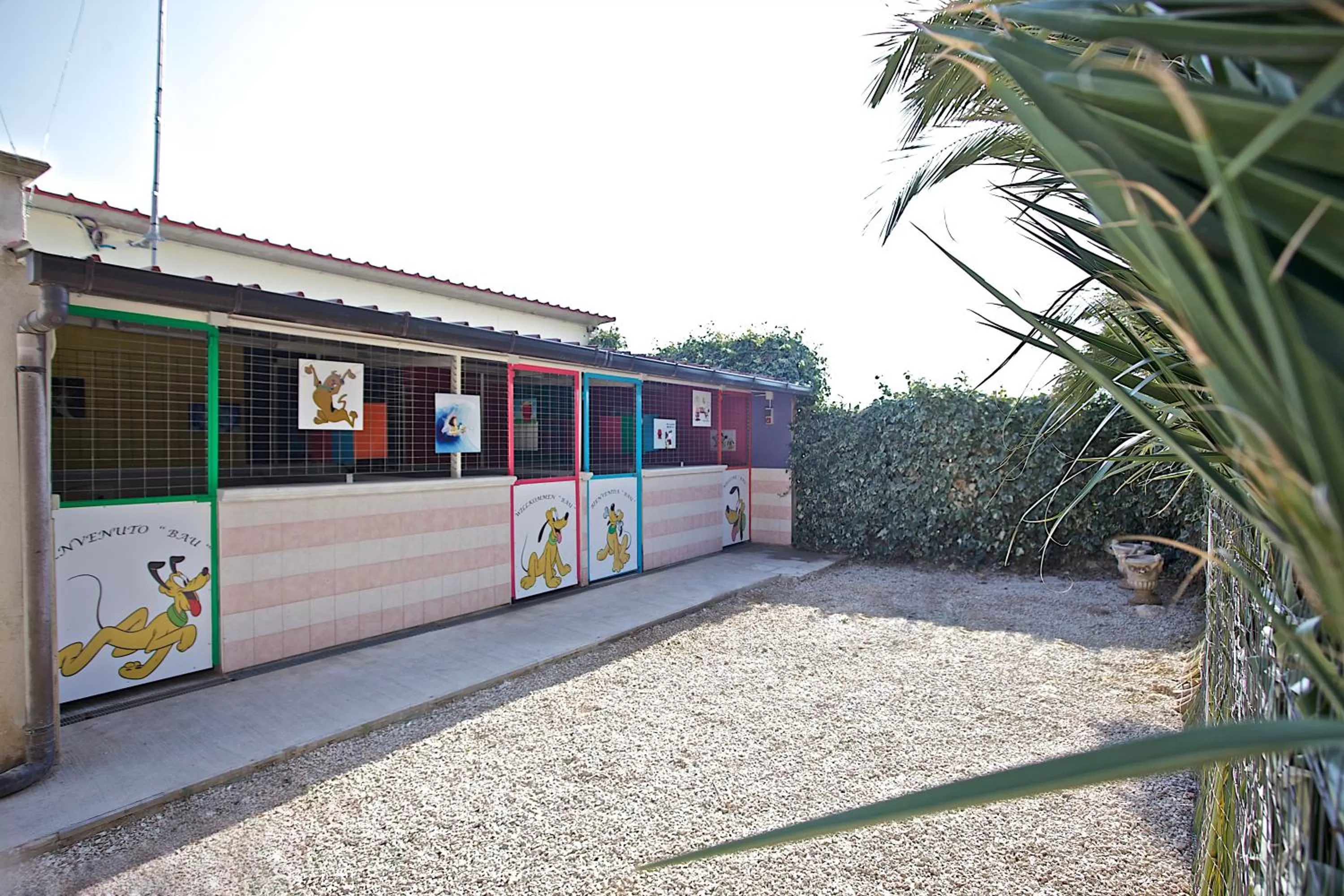 Pets in B&B Barletta Acasamia con Parcheggio Privato