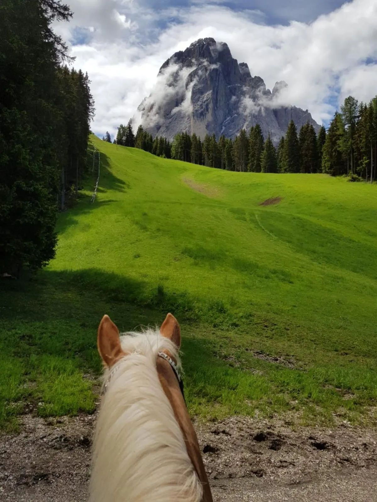 Horse-riding in Hotel Pozzamanigoni