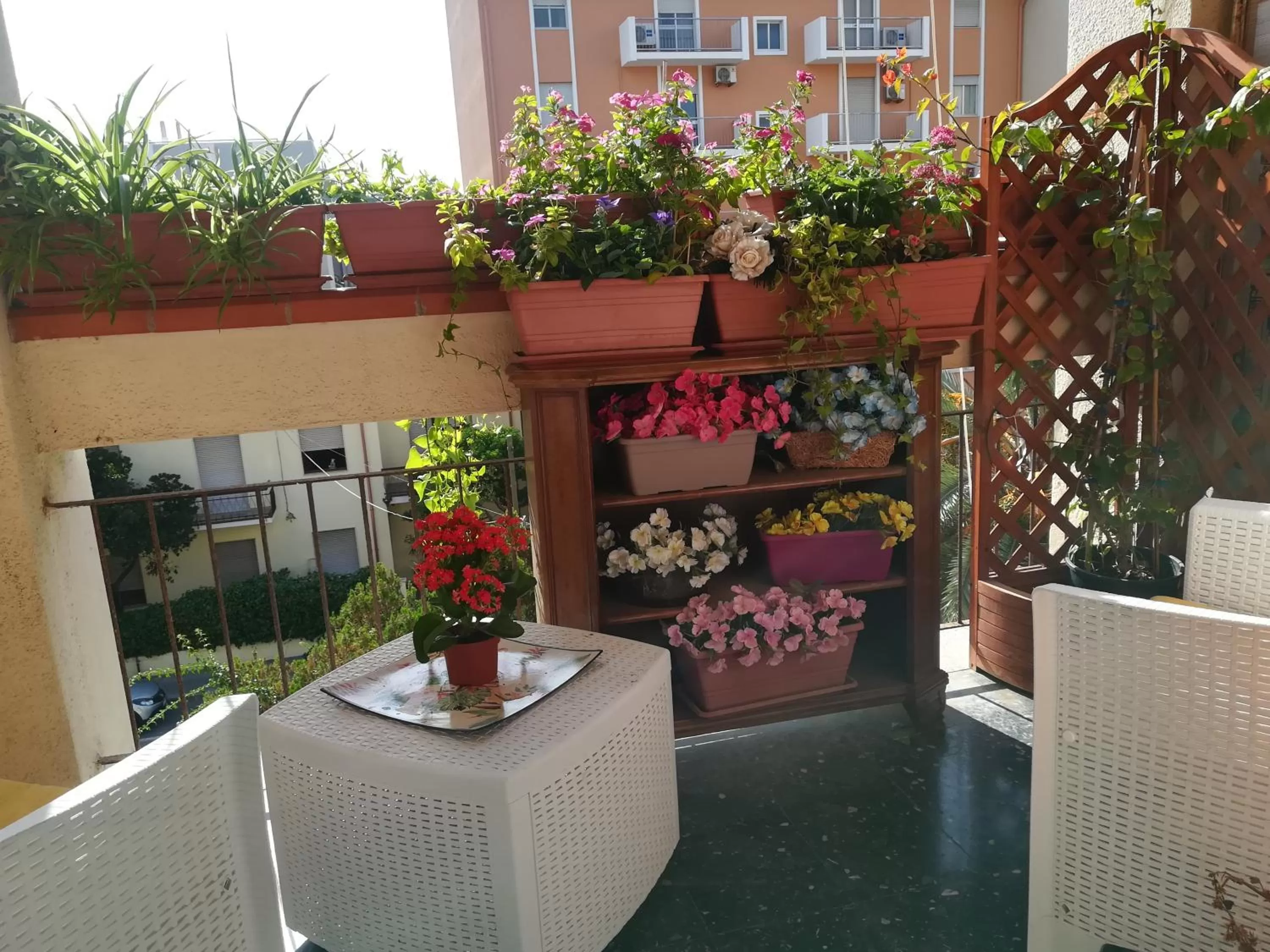 View (from property/room) in Domus Aurea