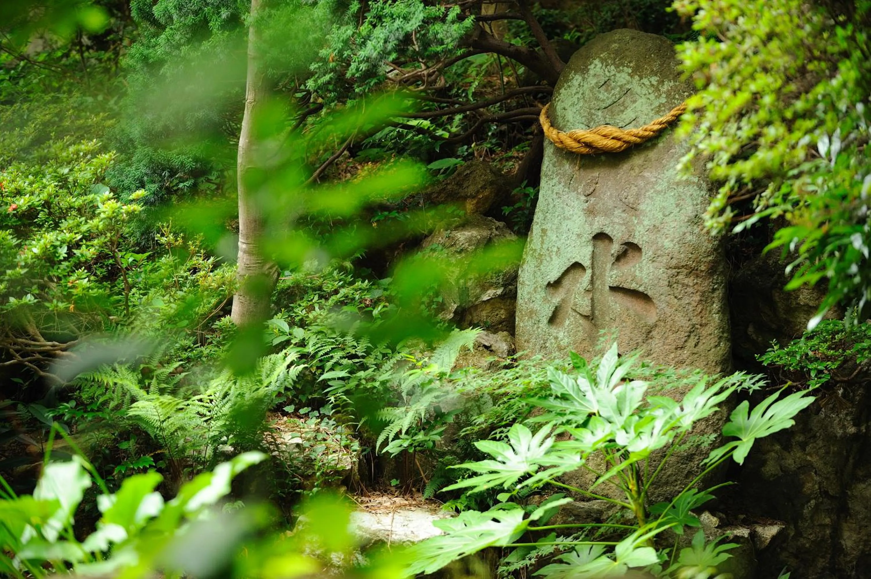 Spring in Senkeien Tsukioka Hotel