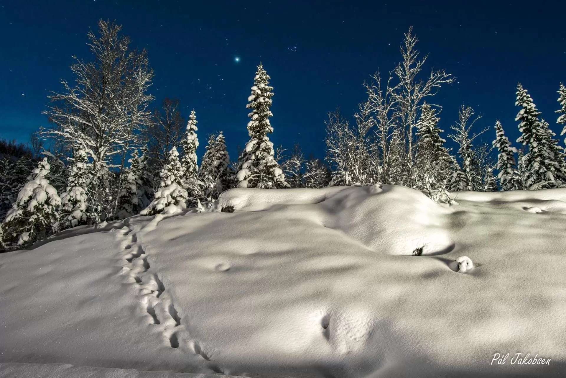 Skiing in Breidablikk Guesthouse