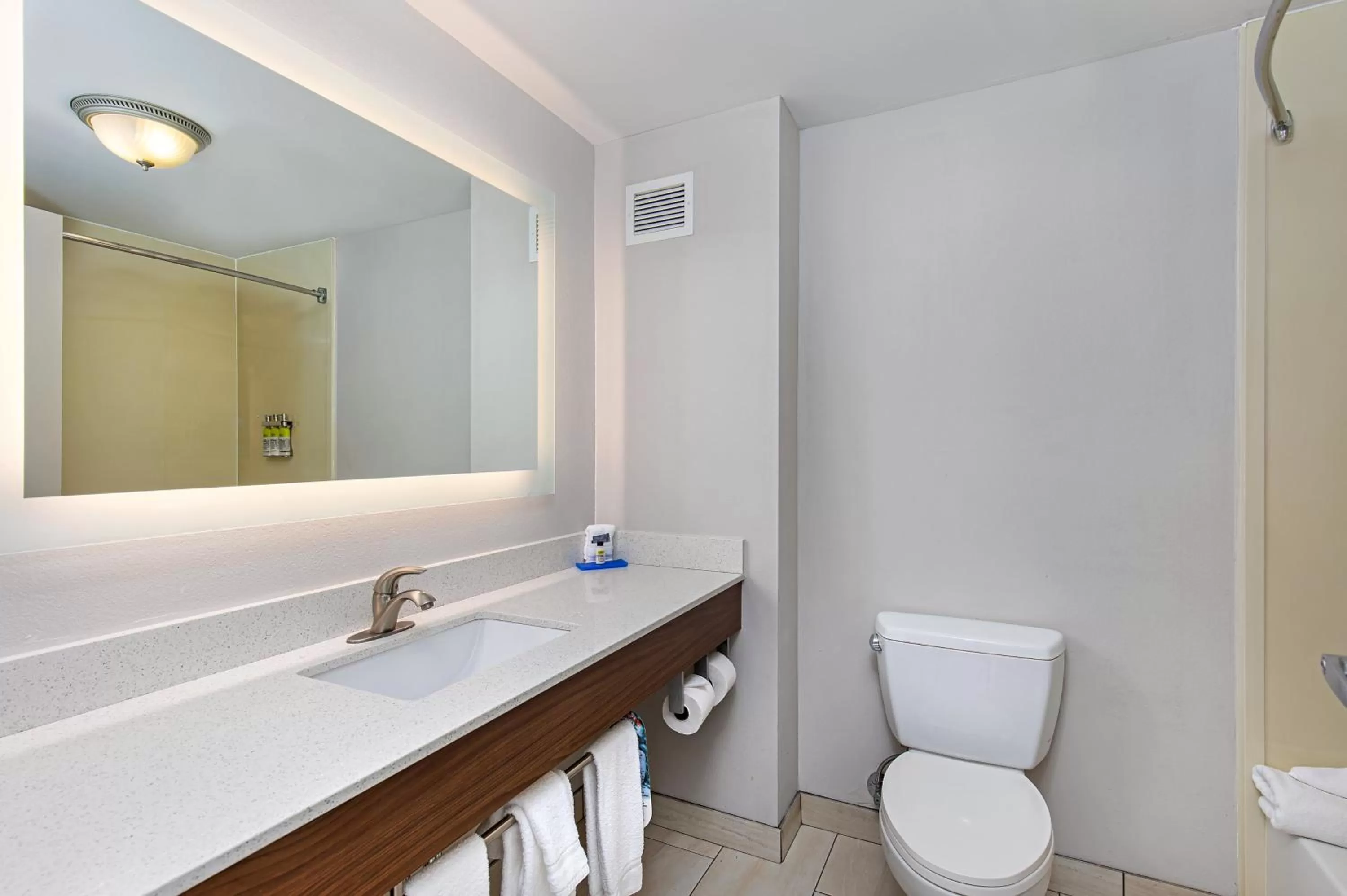 Bathroom in Holiday Inn Express Hotel & Suites Mount Juliet - Nashville Area by IHG