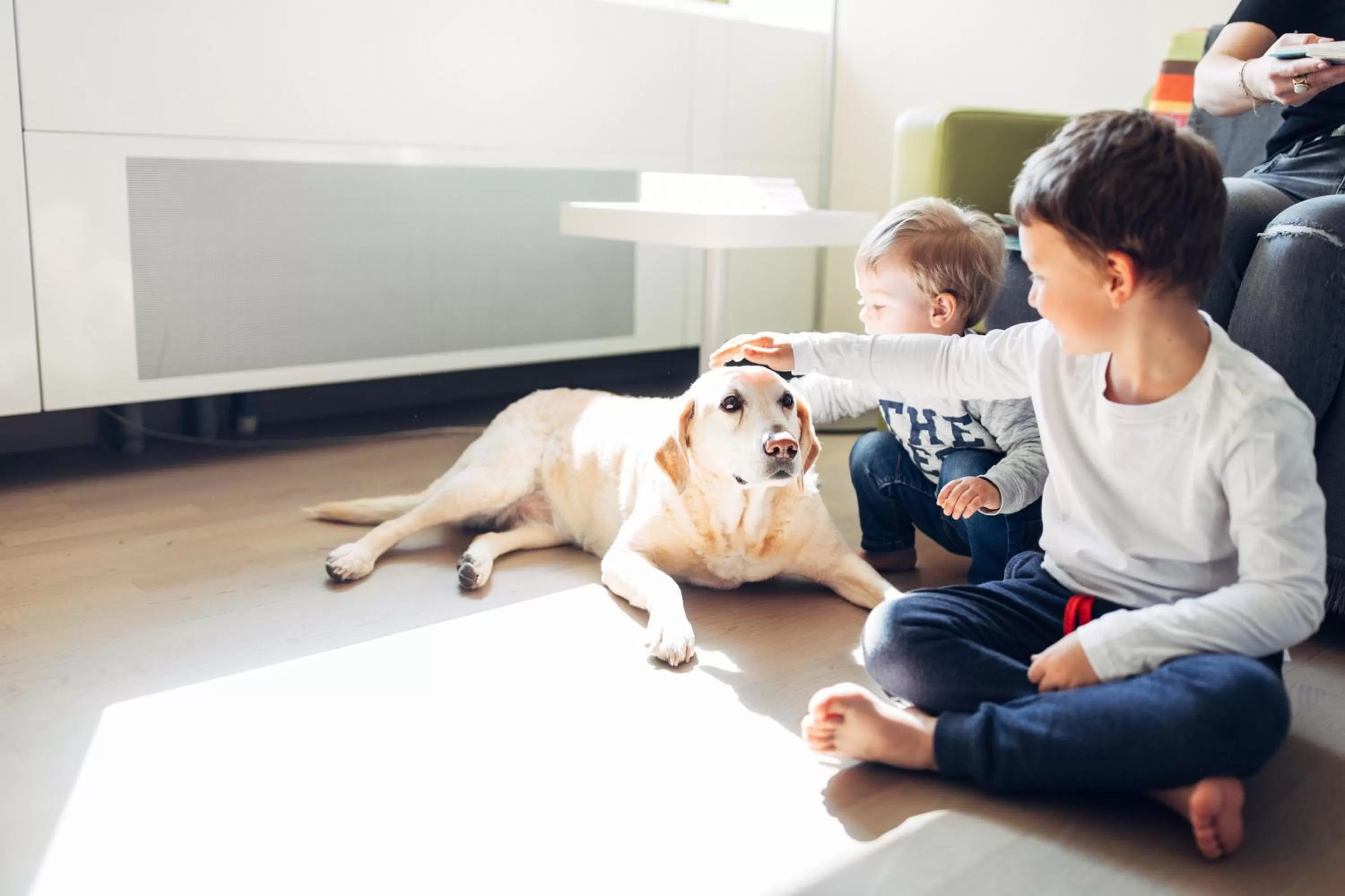 Pets in harry's home Wien hotel & apartments