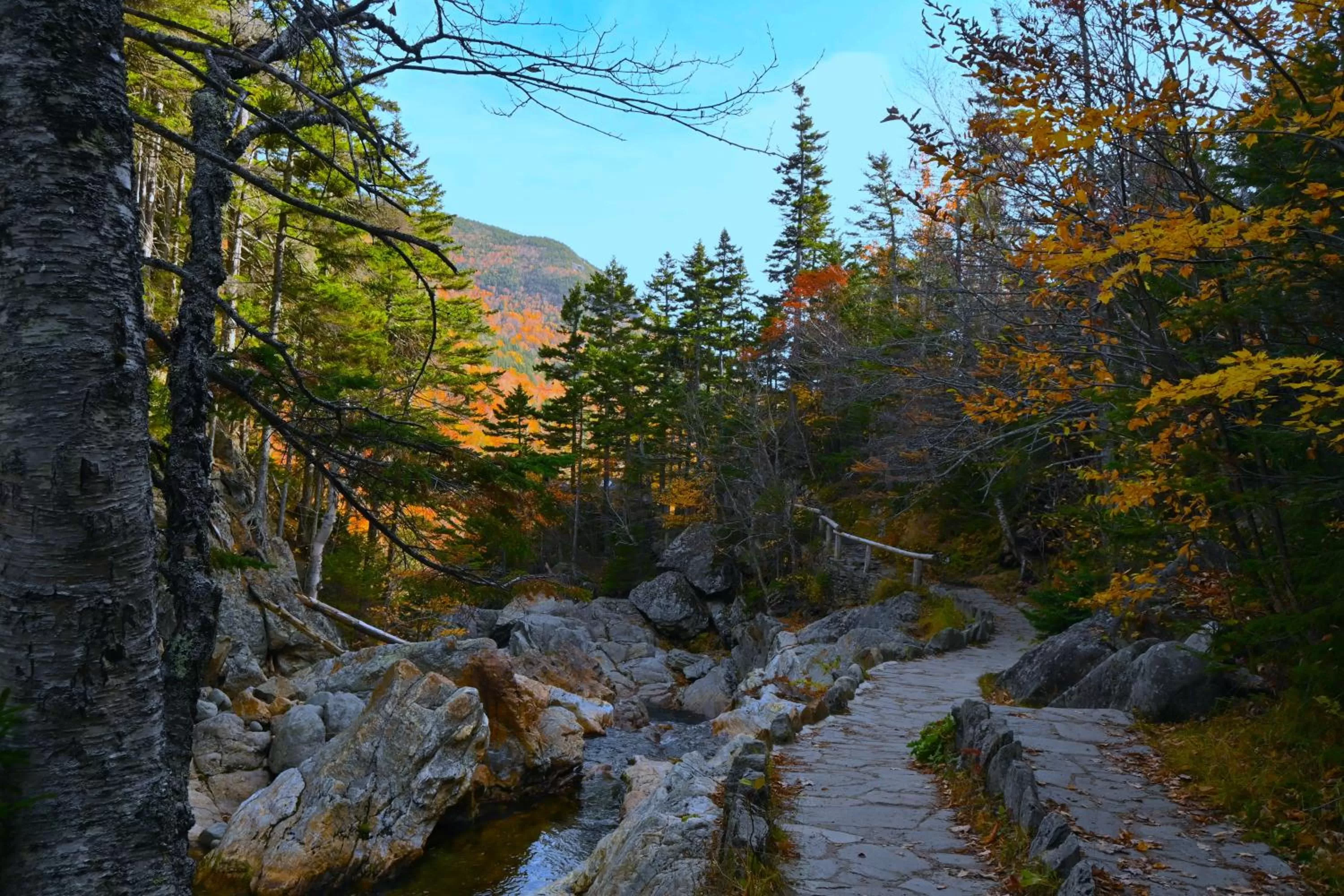Natural landscape in The Lodge at Jackson Village