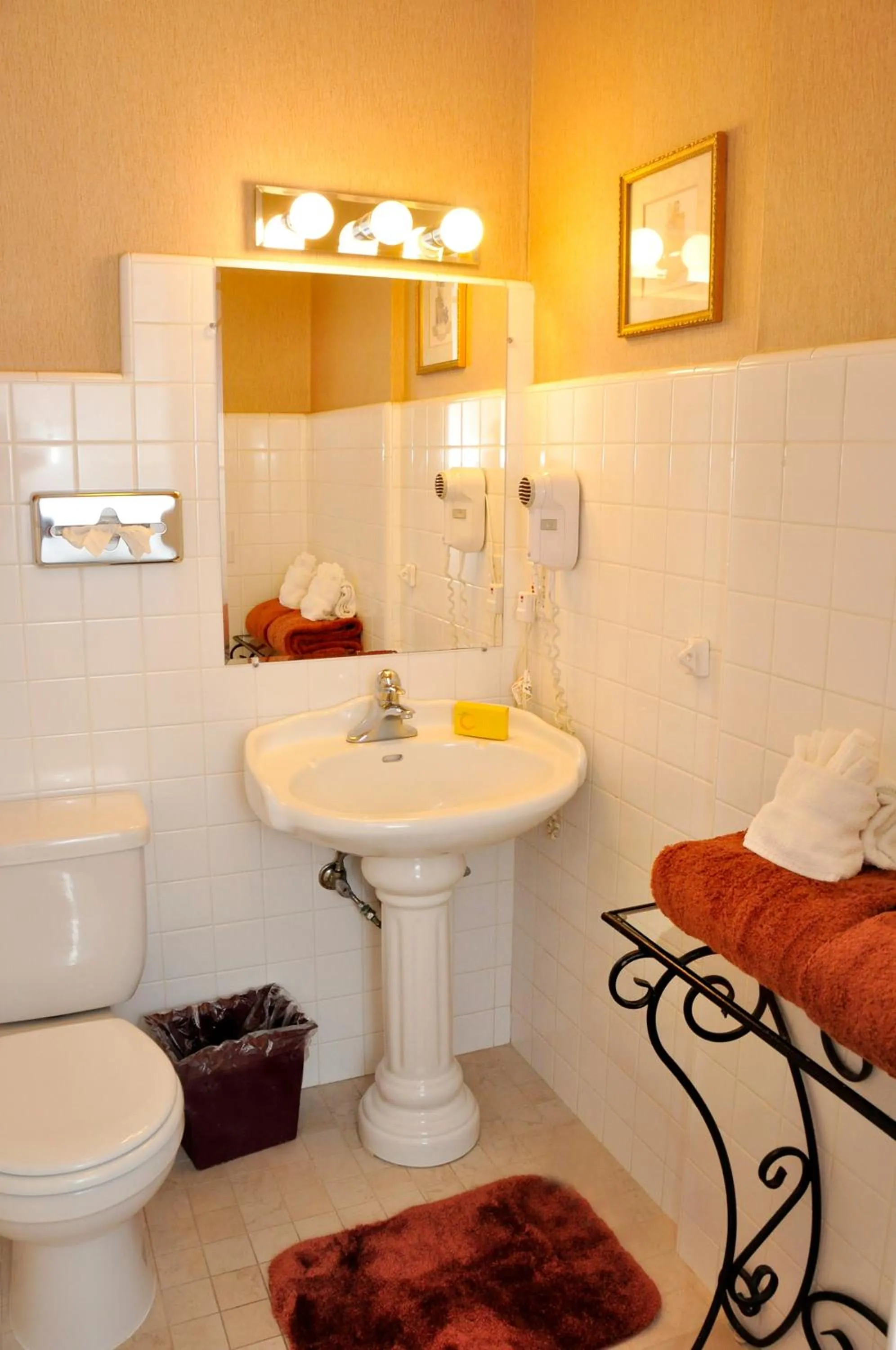 Toilet in The Eagle Inn