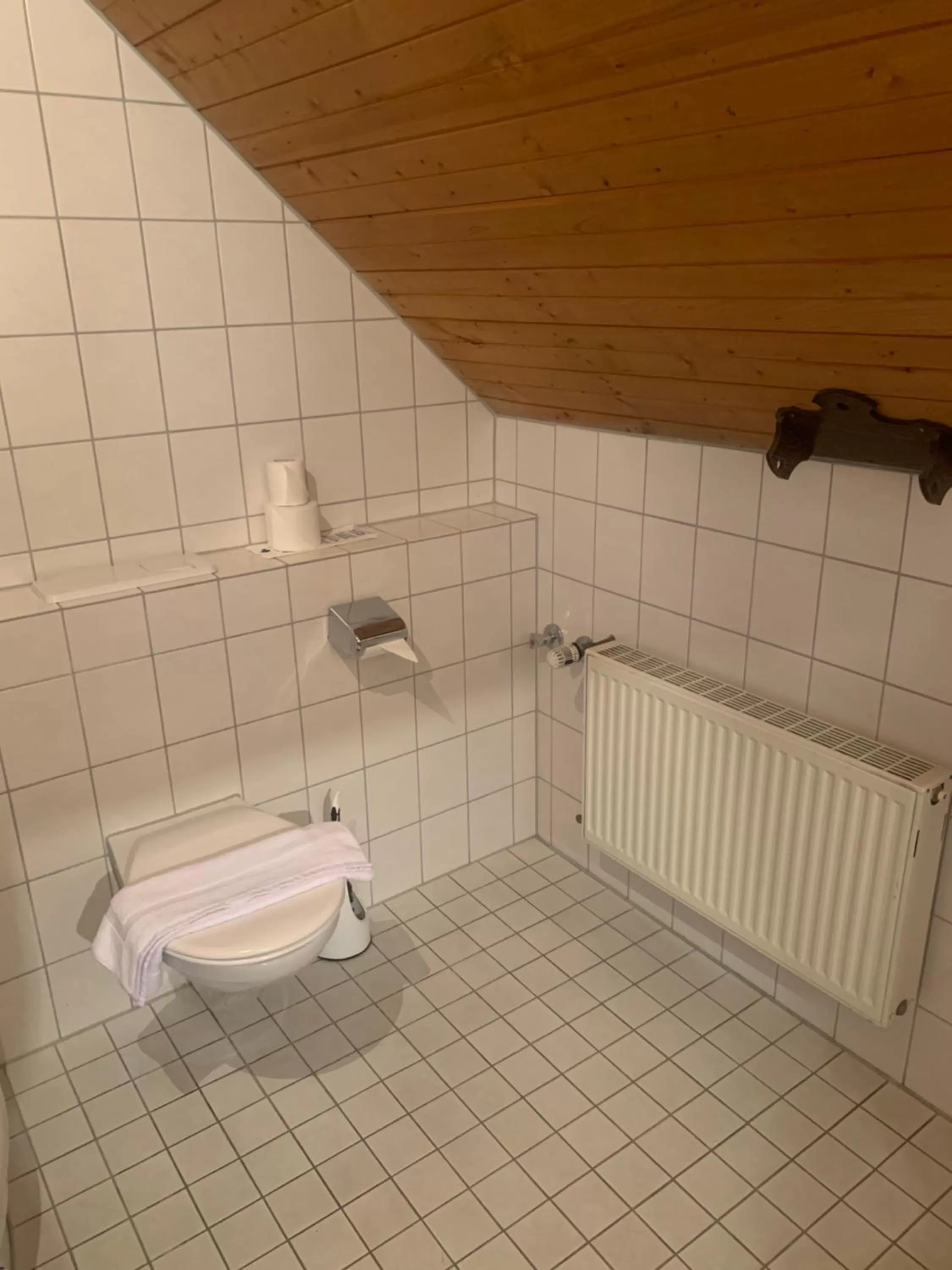 Toilet, Bathroom in Hotel Maien