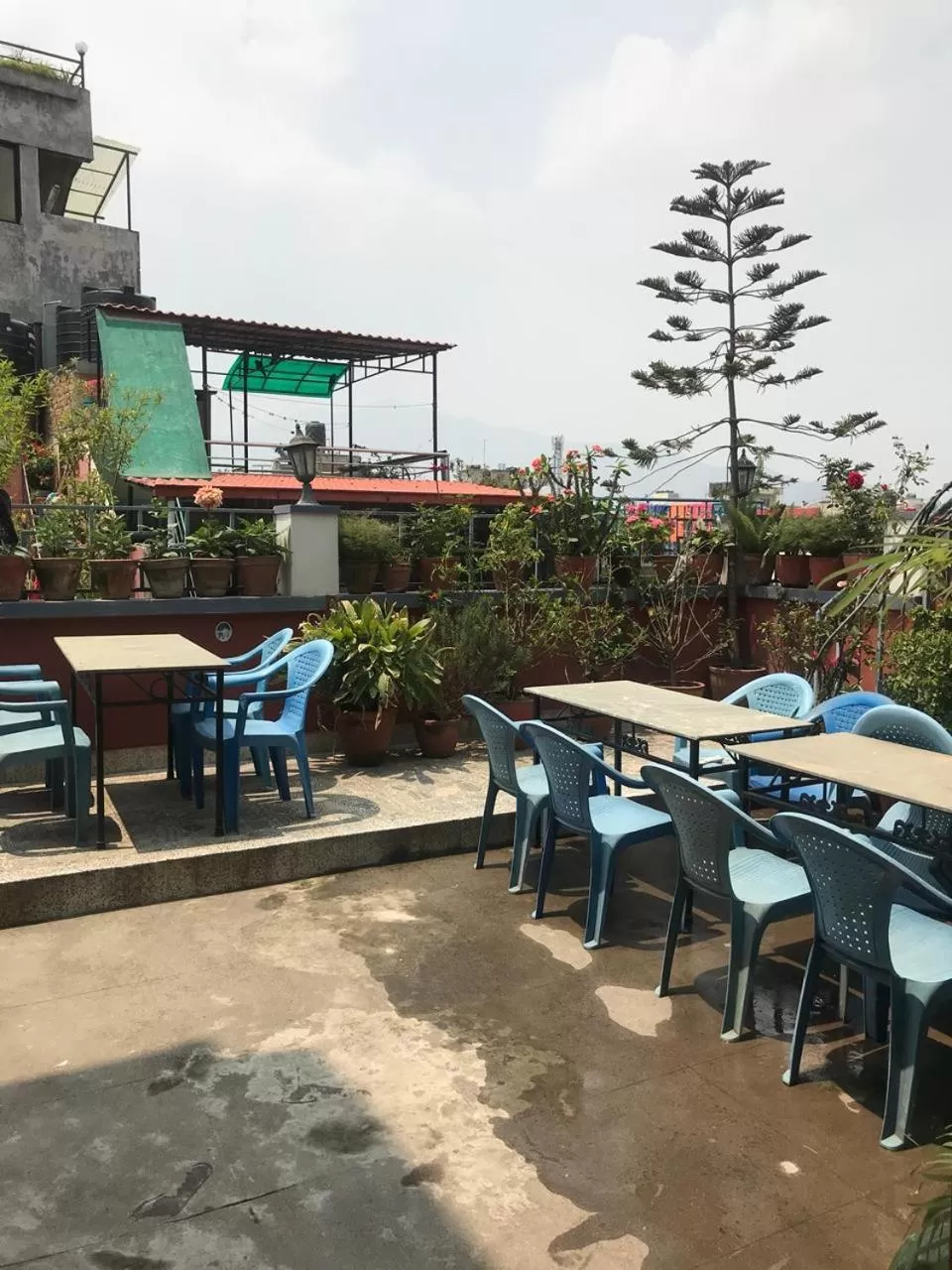 Restaurant/places to eat in Hotel Earth House