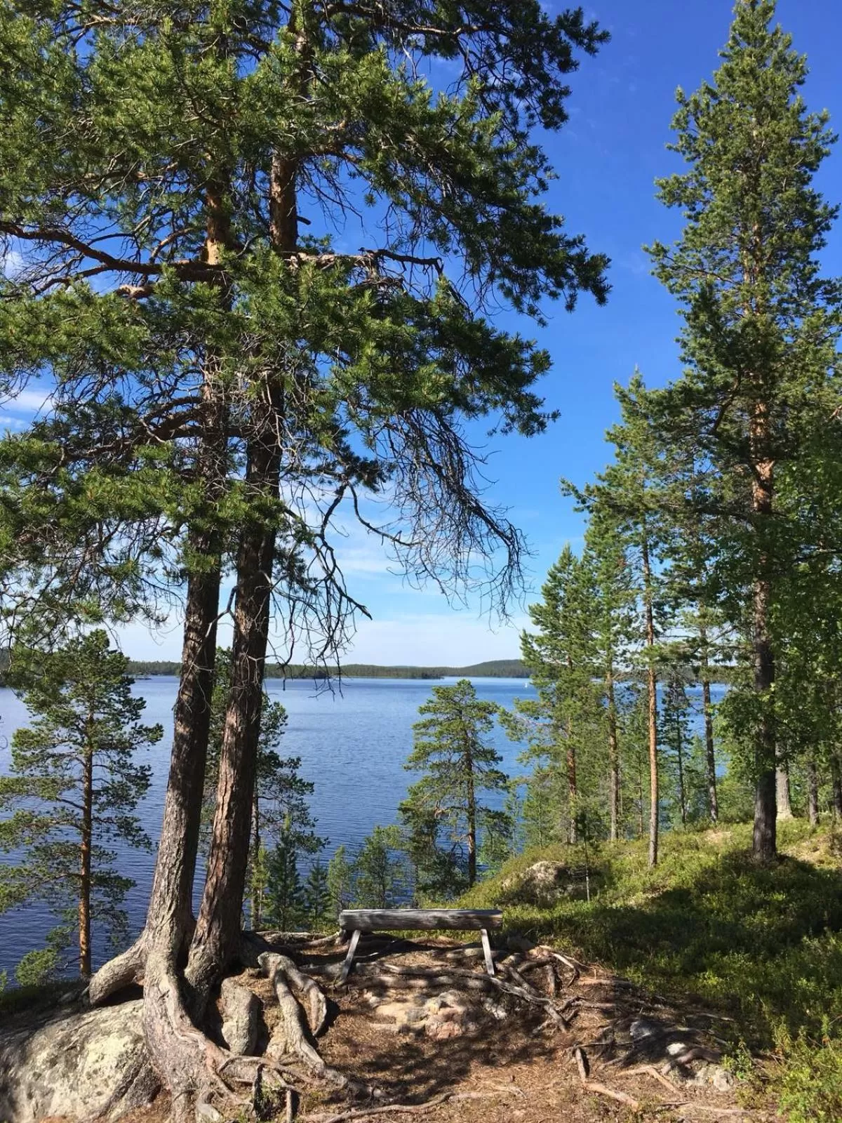 Neighbourhood in Wilderness Hotel Nangu & Igloos
