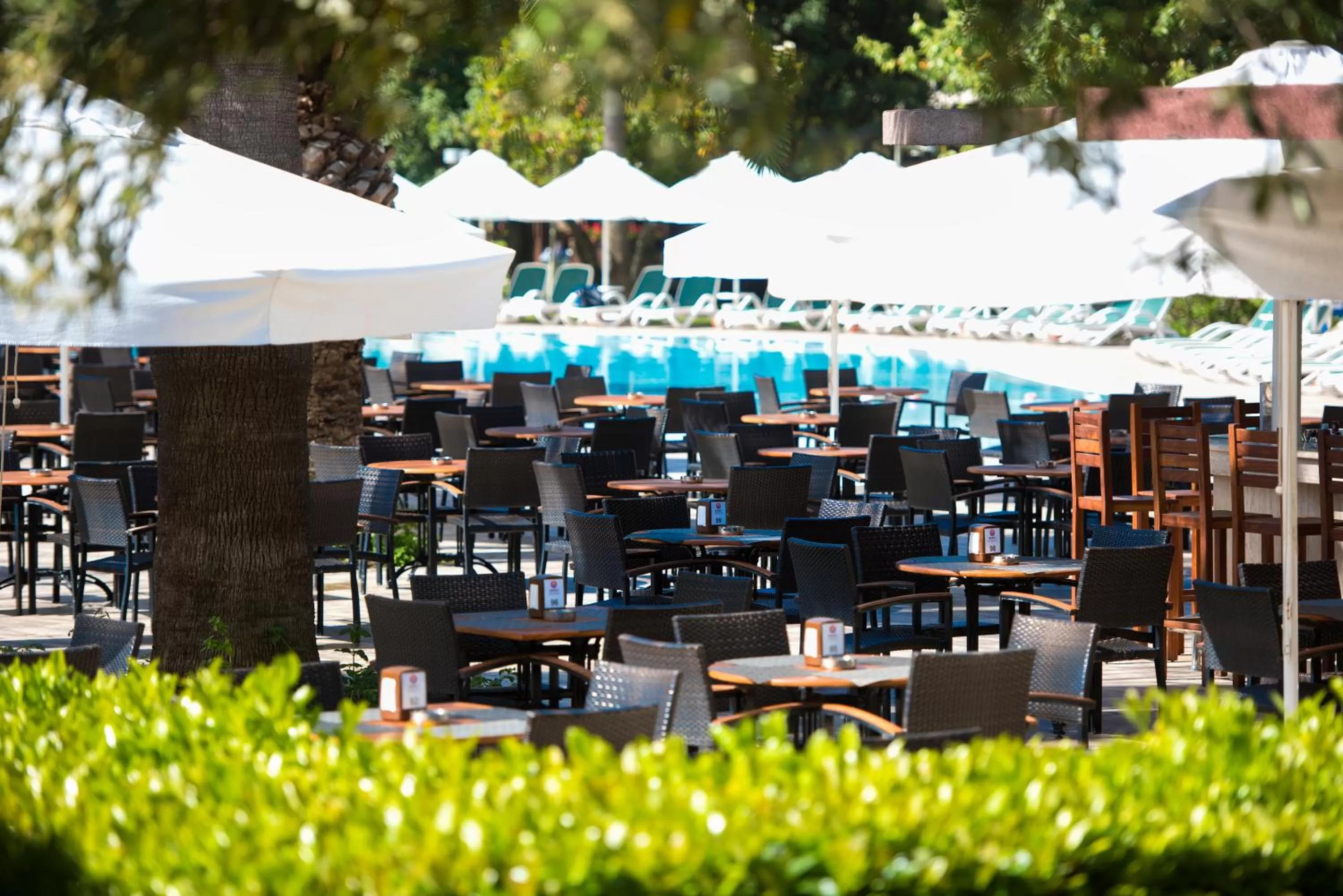 Restaurant/places to eat in Barut Hemera - Ultra All Inclusive