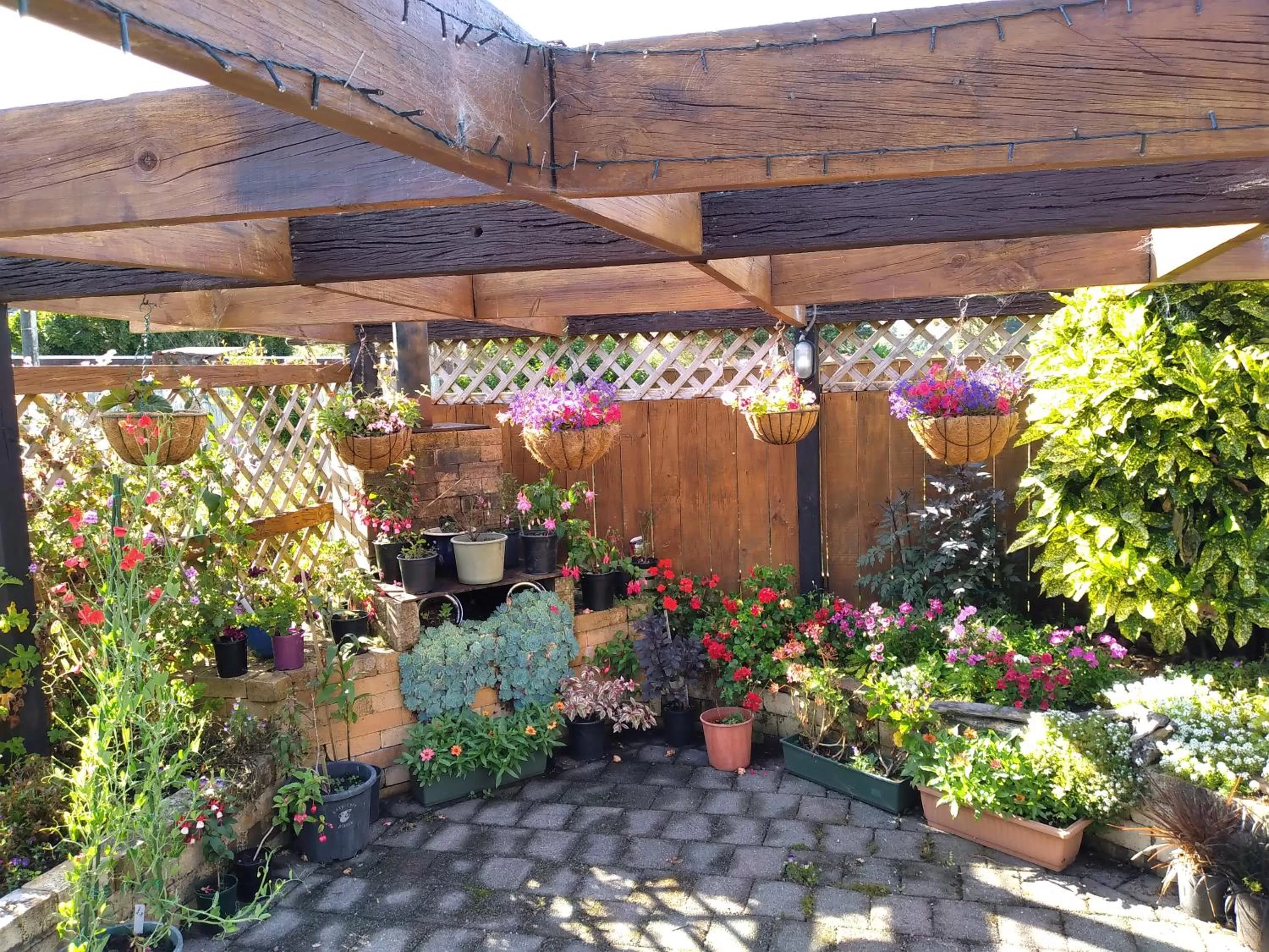 Carters Beach Bed and Breakfast